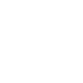 Handshake Icon