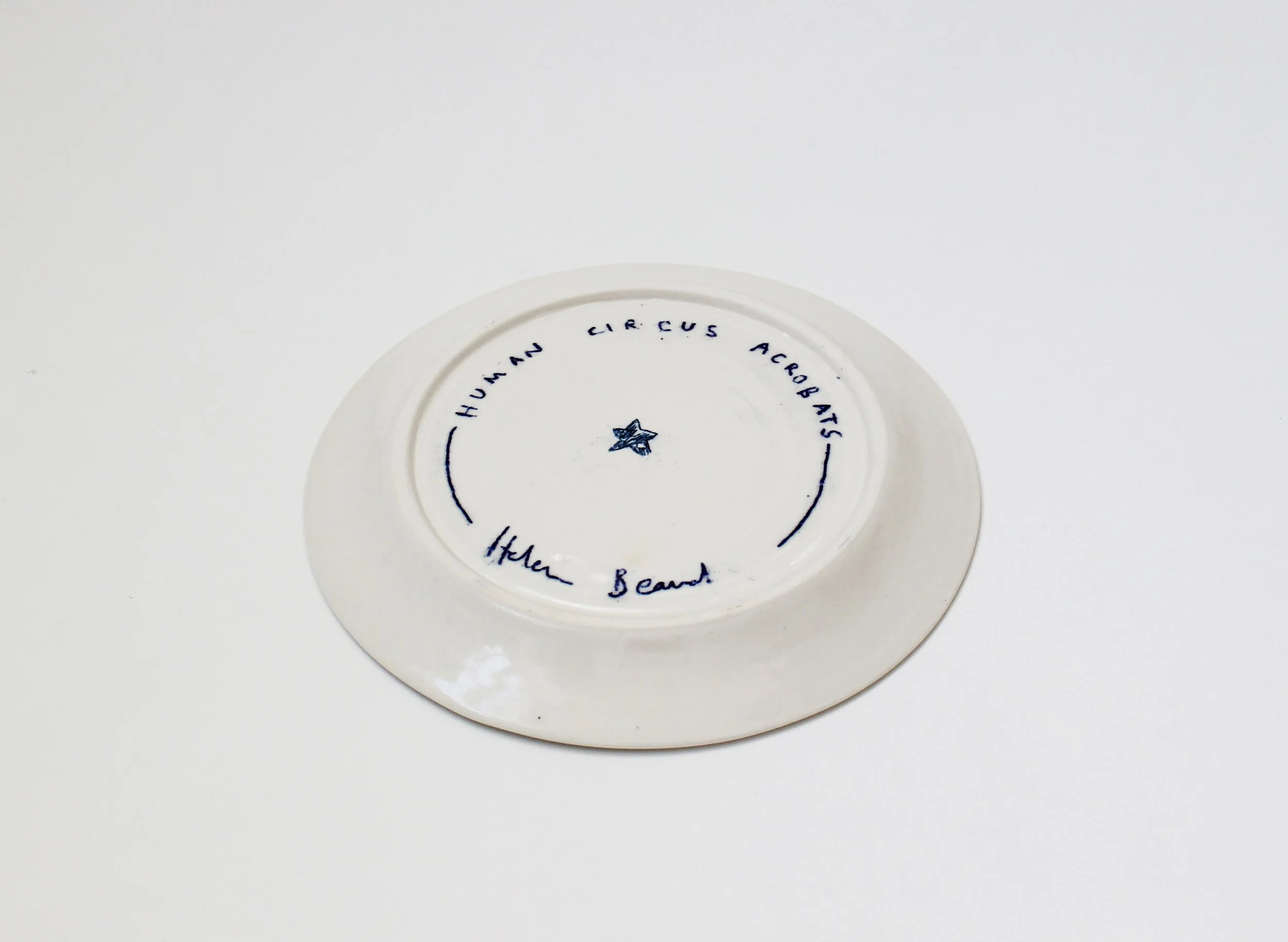 reverse plate.jpg