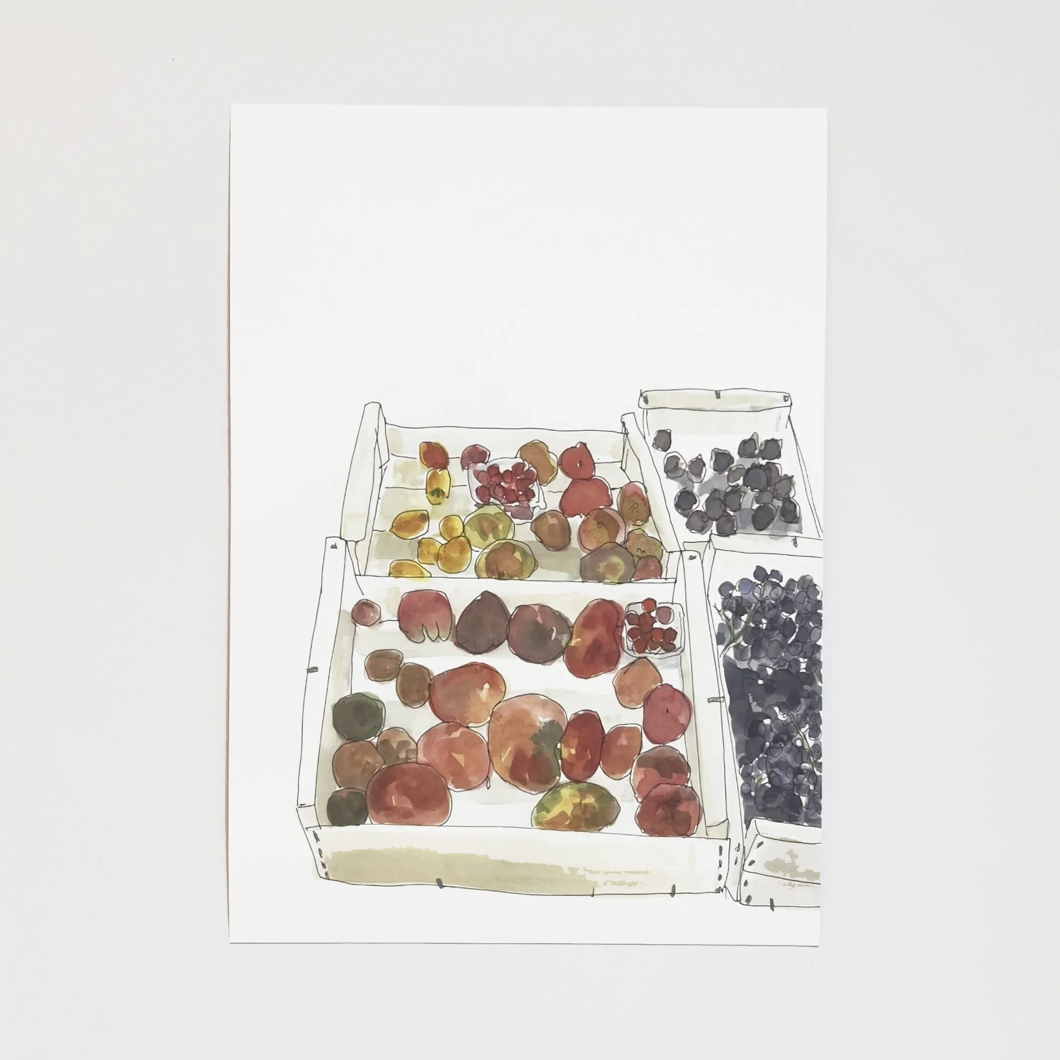Tomates and Grapes