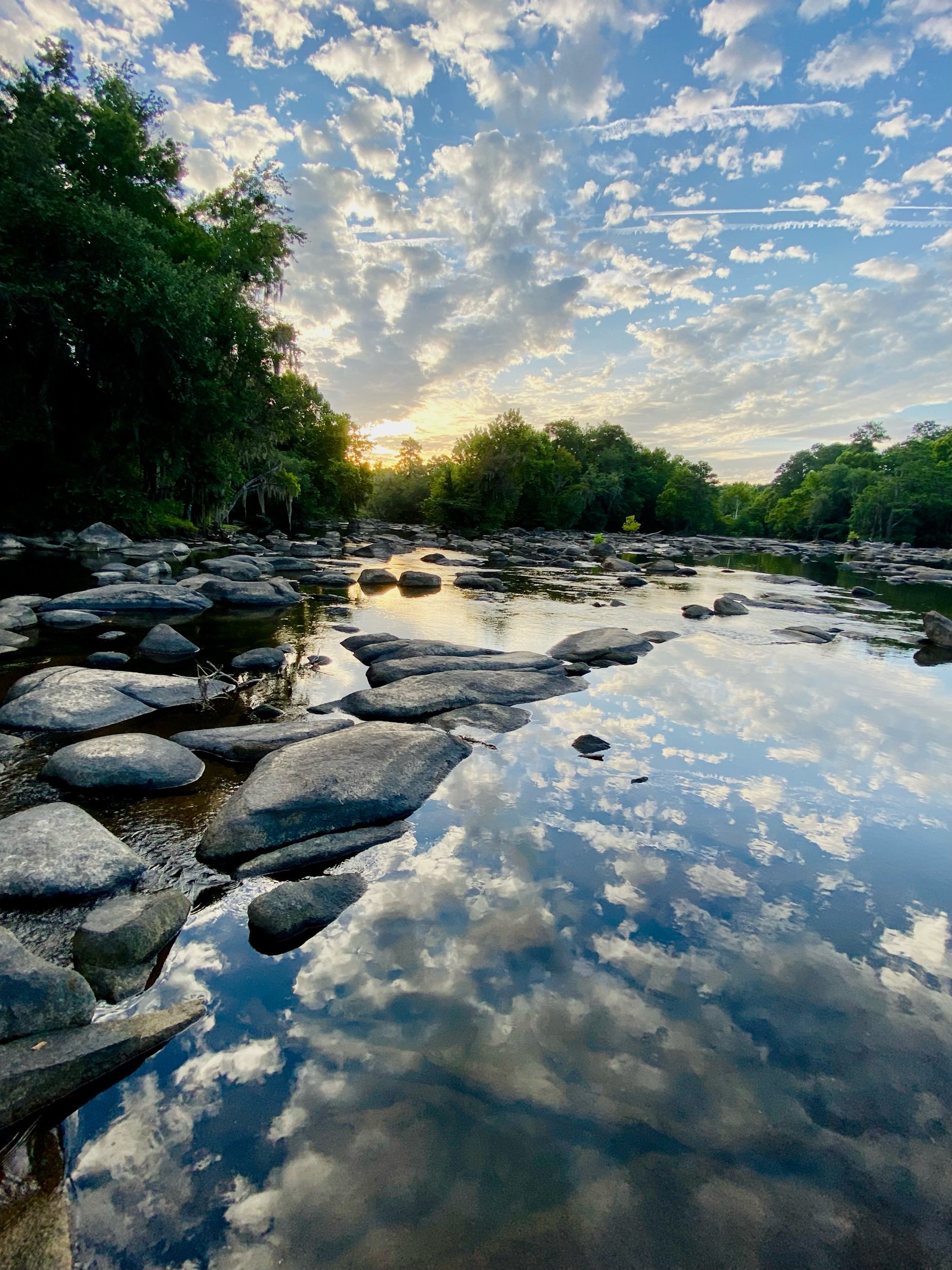 Saluda River, July 2022