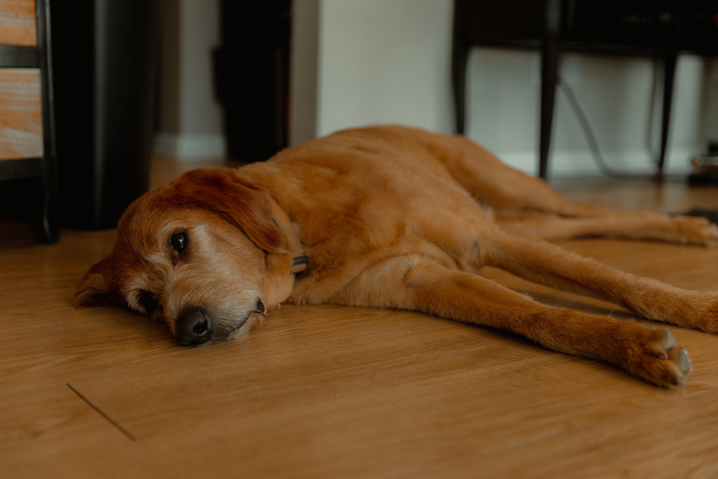 187B1457-D650-4595-AF29-F0FD92382B23.jpeg