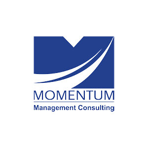 Momentum Consulting.jpg