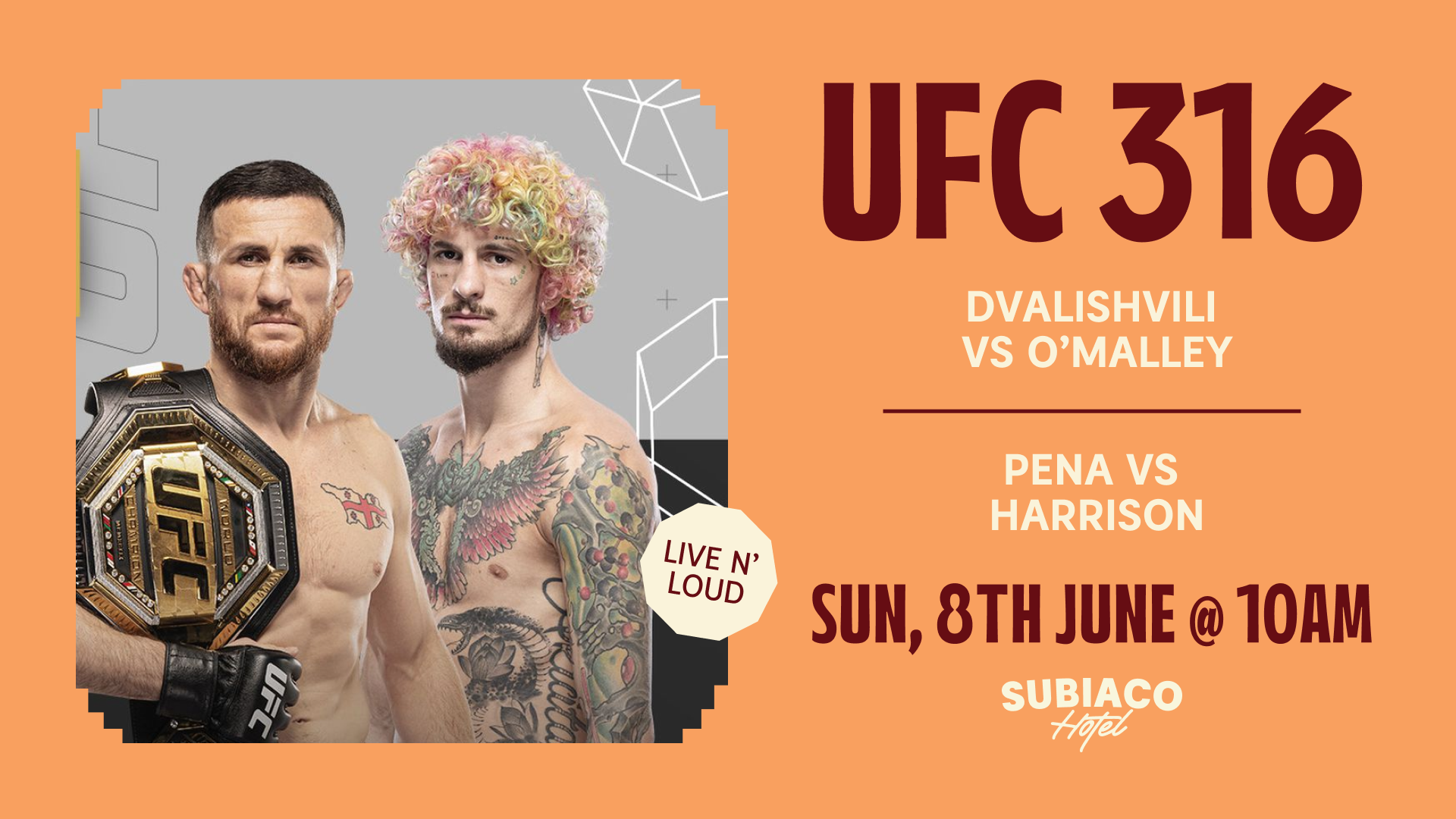 UFC 316