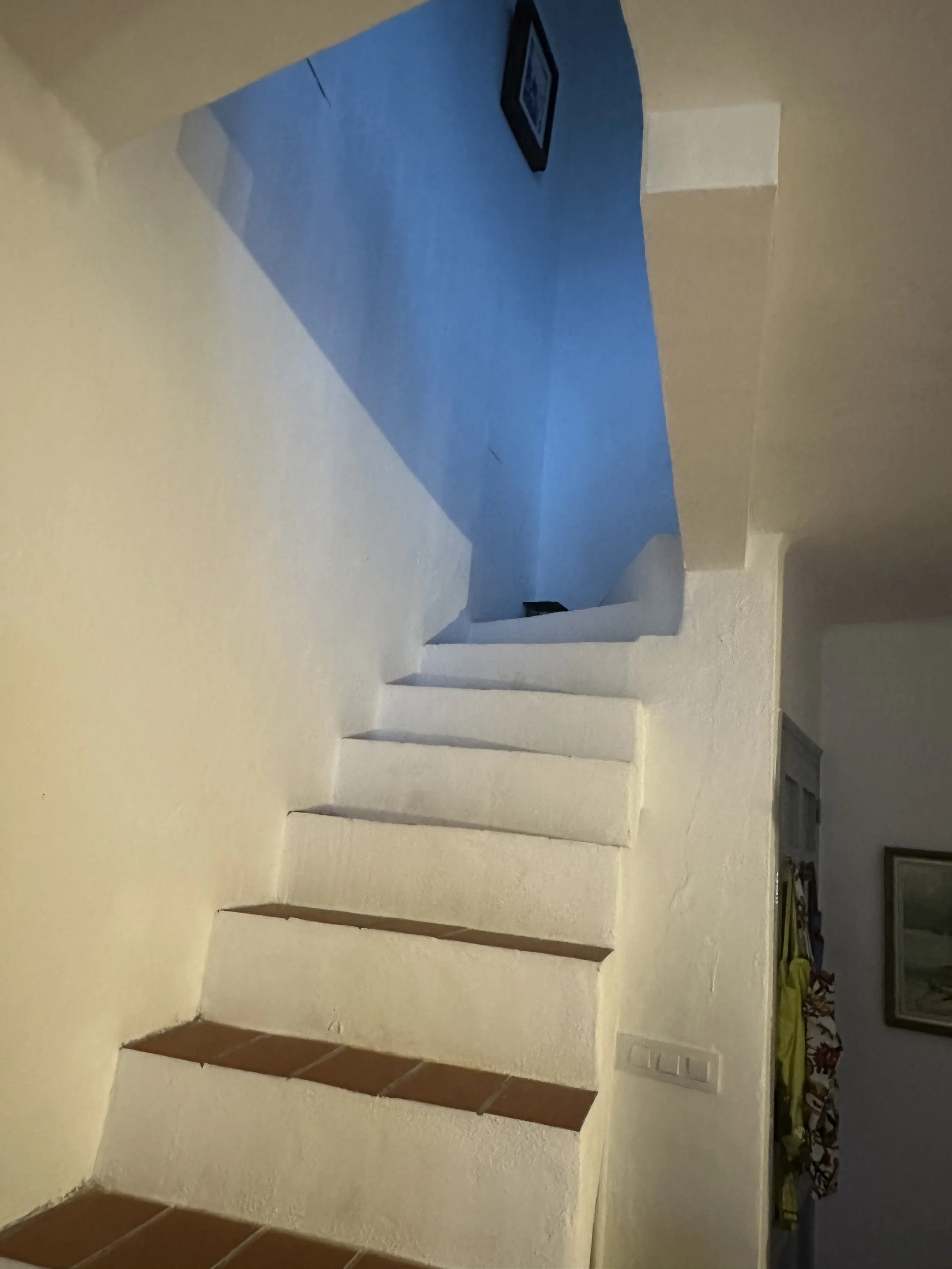 IMG_9714.jpeg