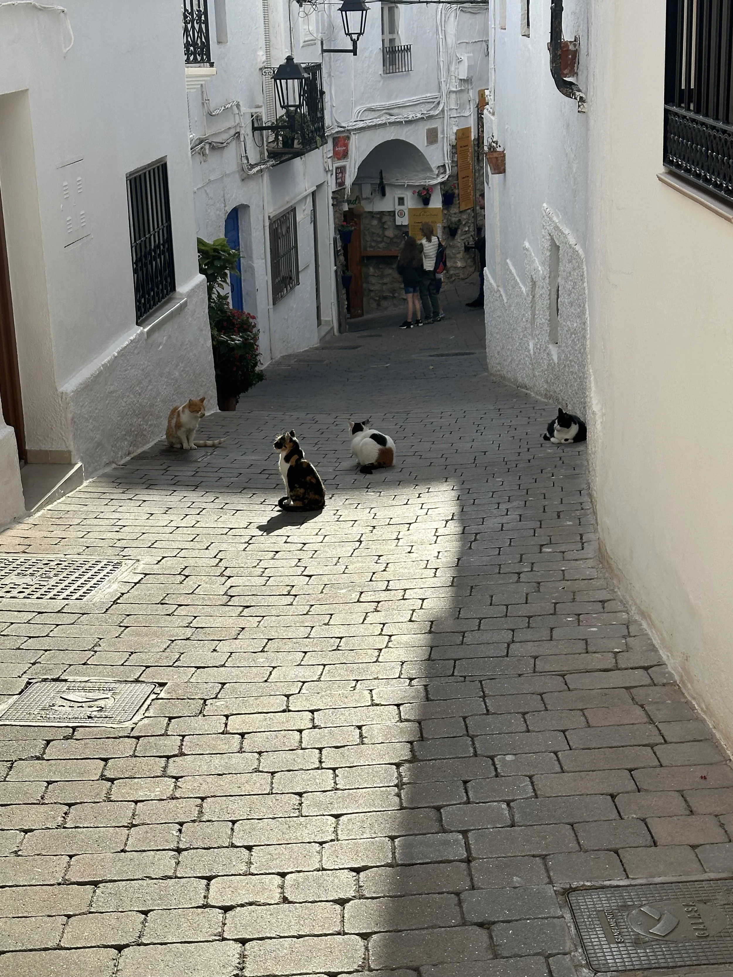 IMG_0179 2.jpeg