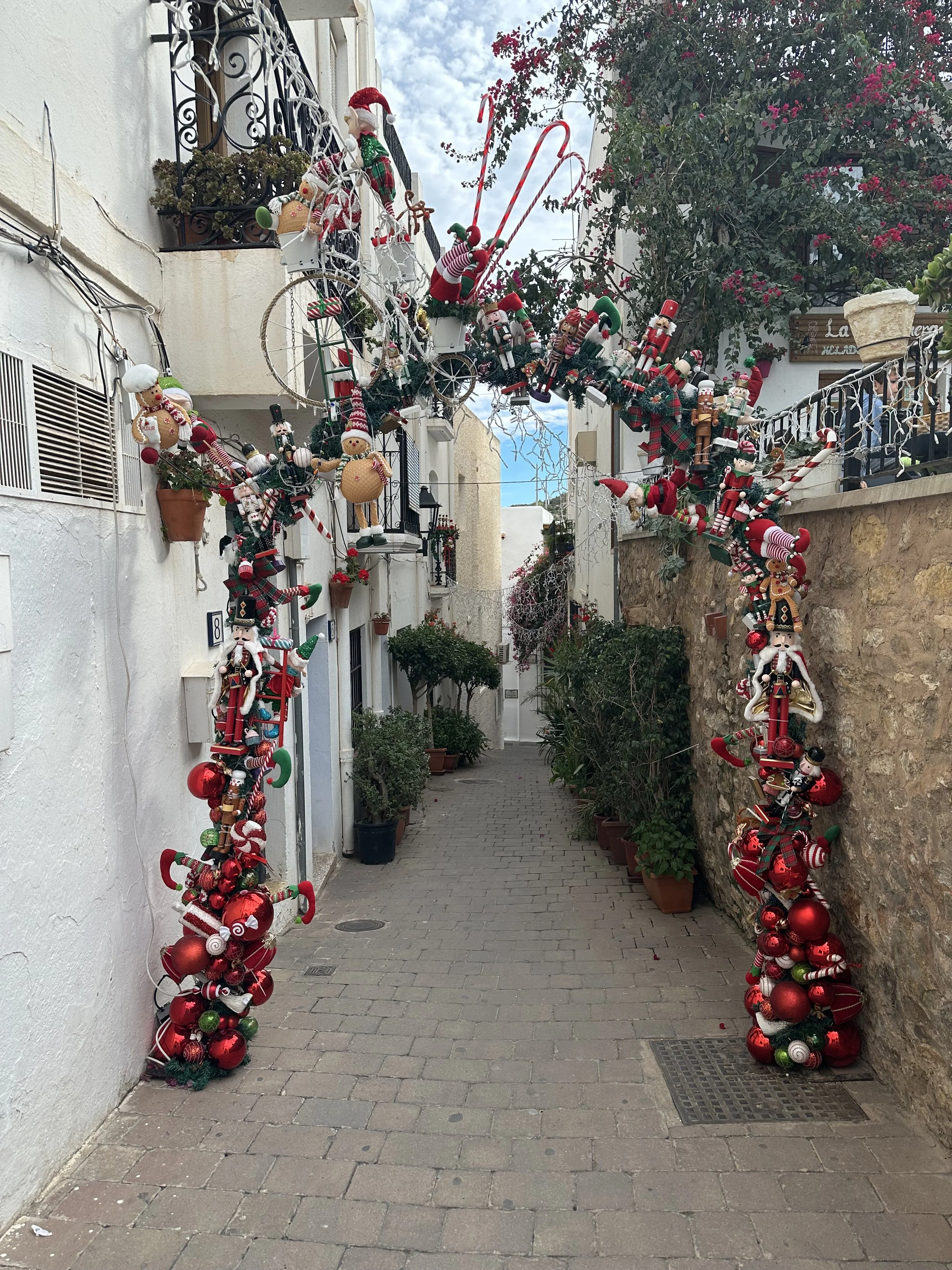 IMG_0317.jpeg