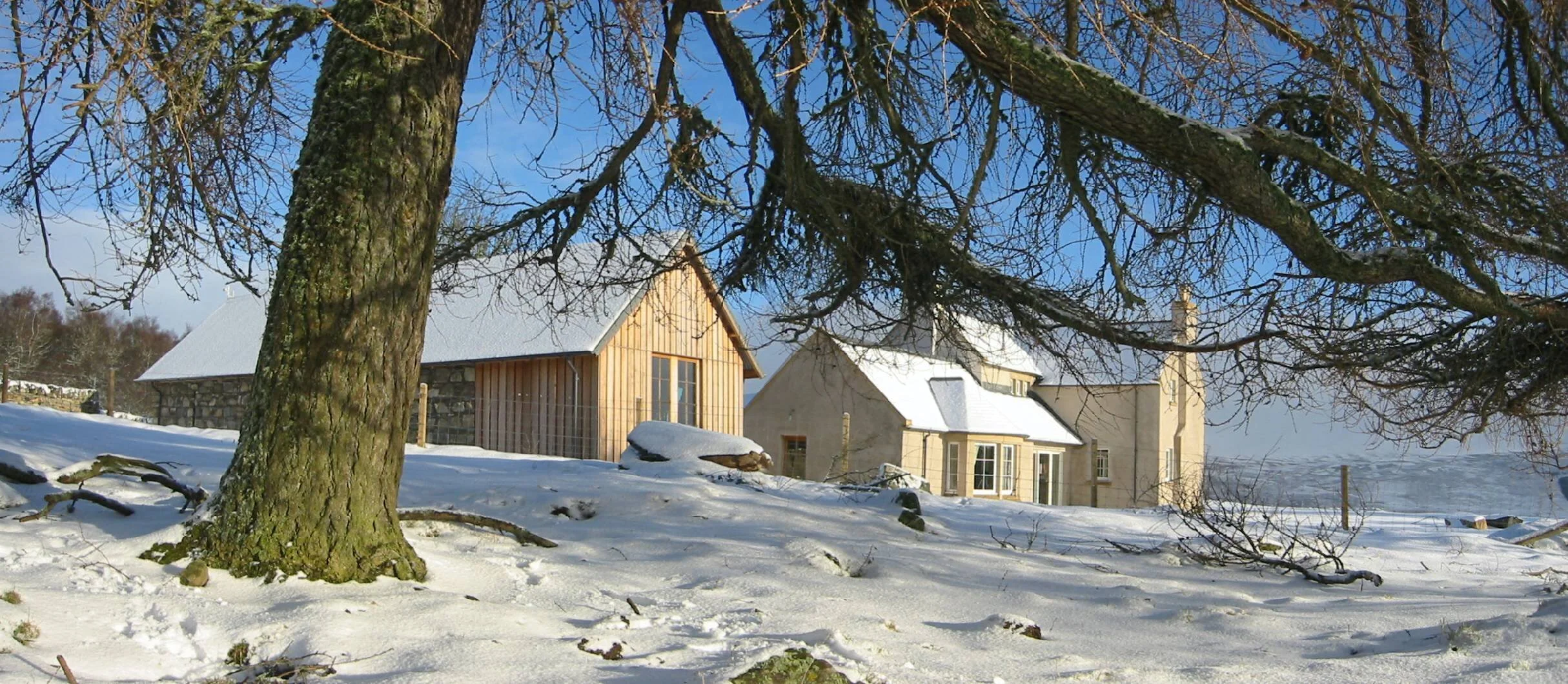 5. house in snow from larch.jpg
