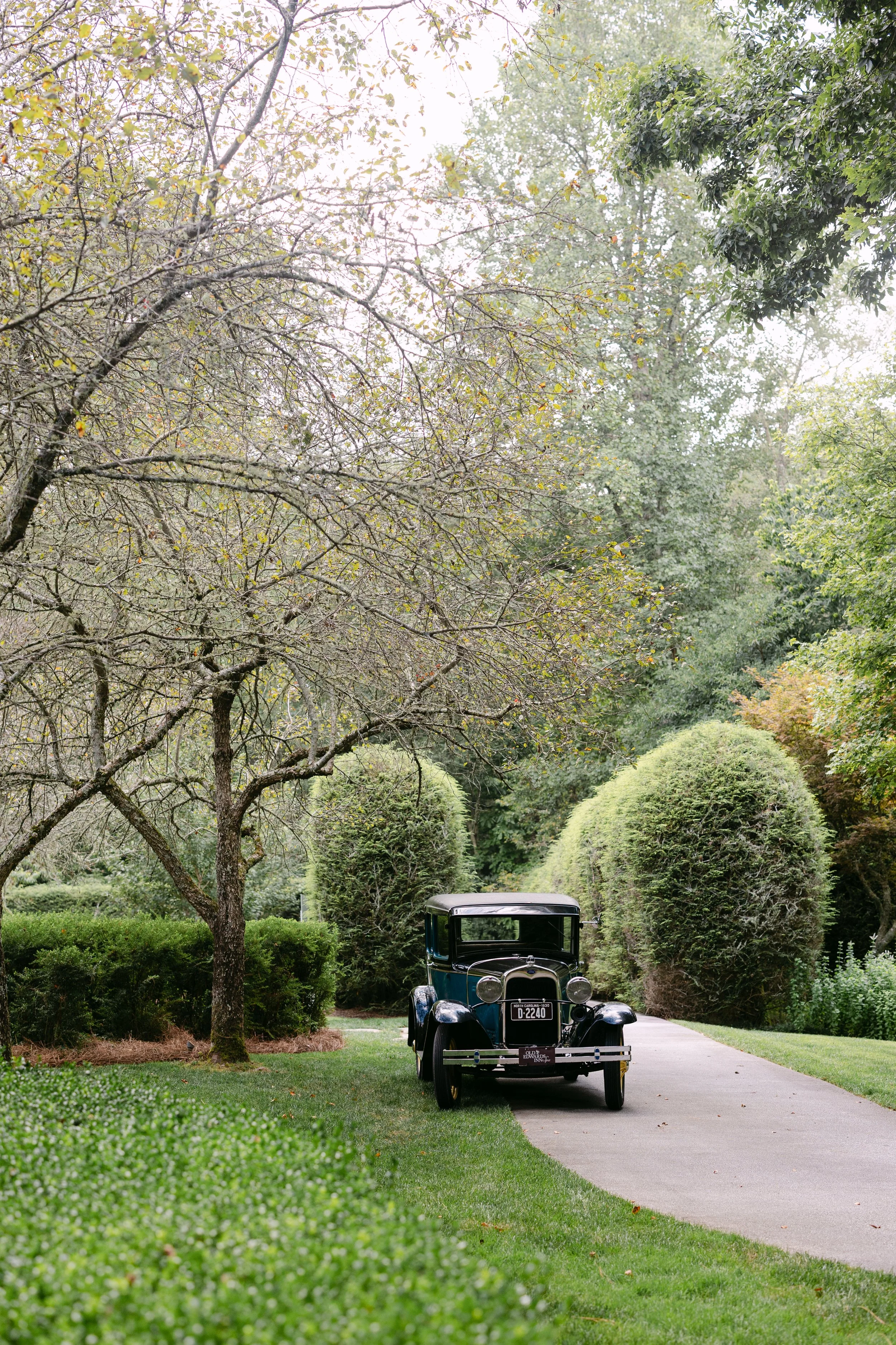 A vintage black car parked on a paved driveway in a lush green garden with trimmed bushes and trees, some with sparse leaves, on a cloudy day.