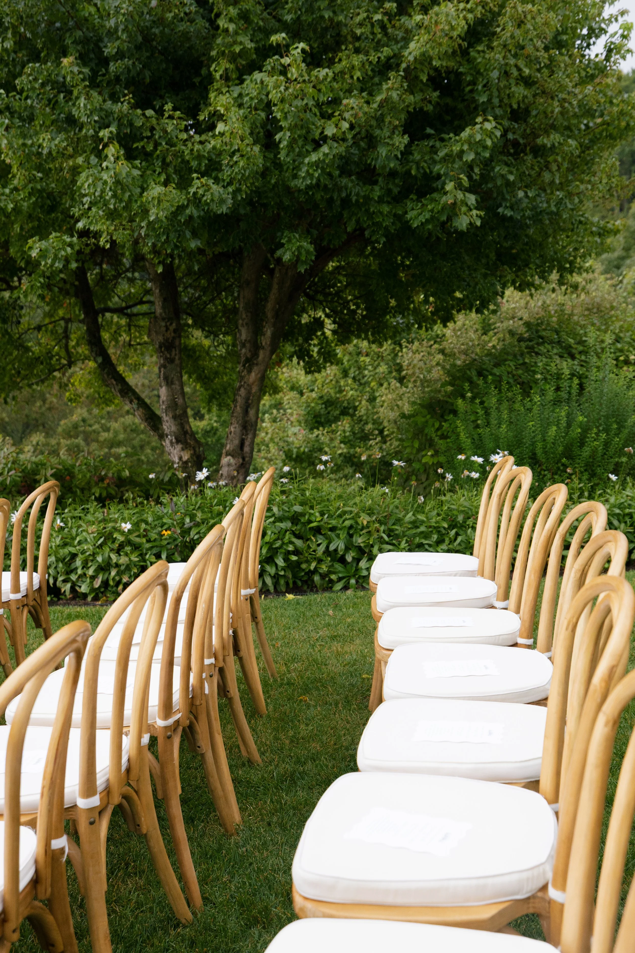 Outdoor seating arrangement with wooden chairs and white cushions in a garden, with a large tree and lush green foliage in the background.