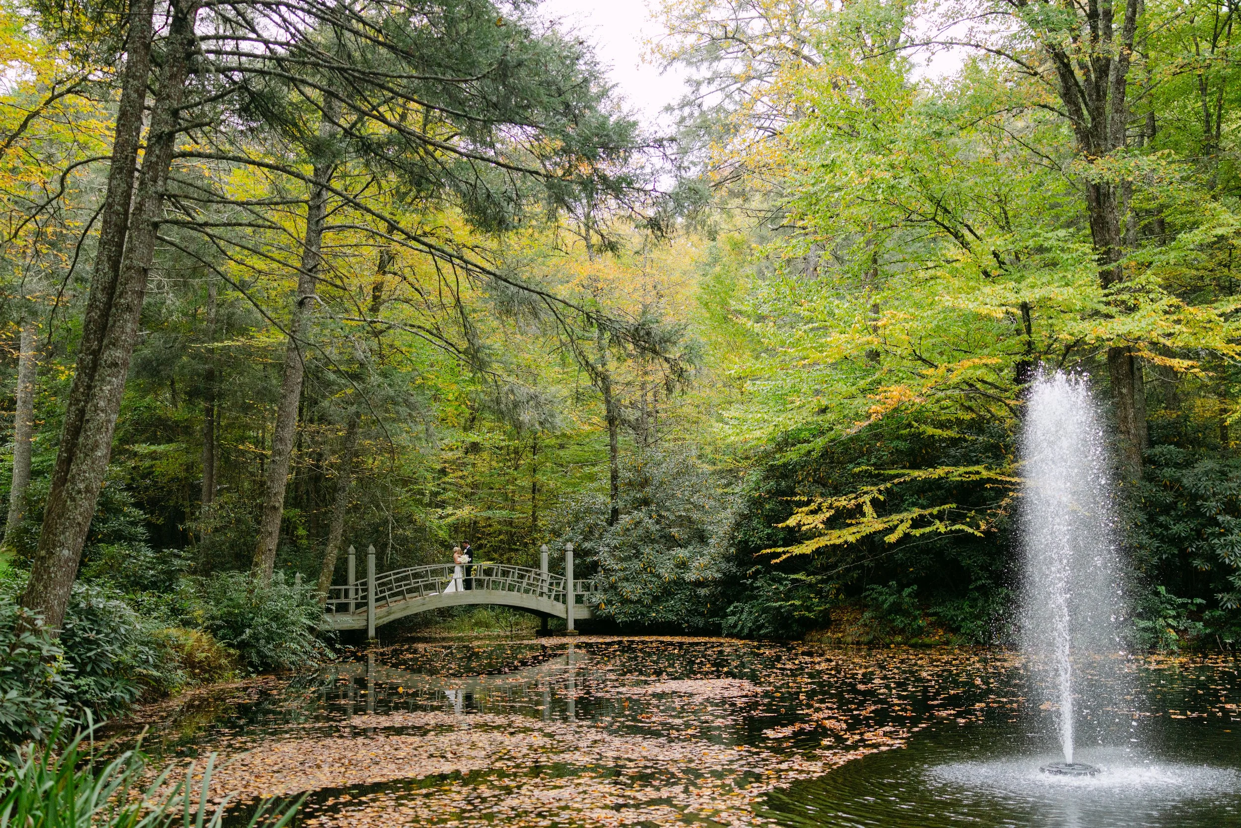 Autumn forest garden with a small arched footbridge over a leaf-covered pond and a fountain.
