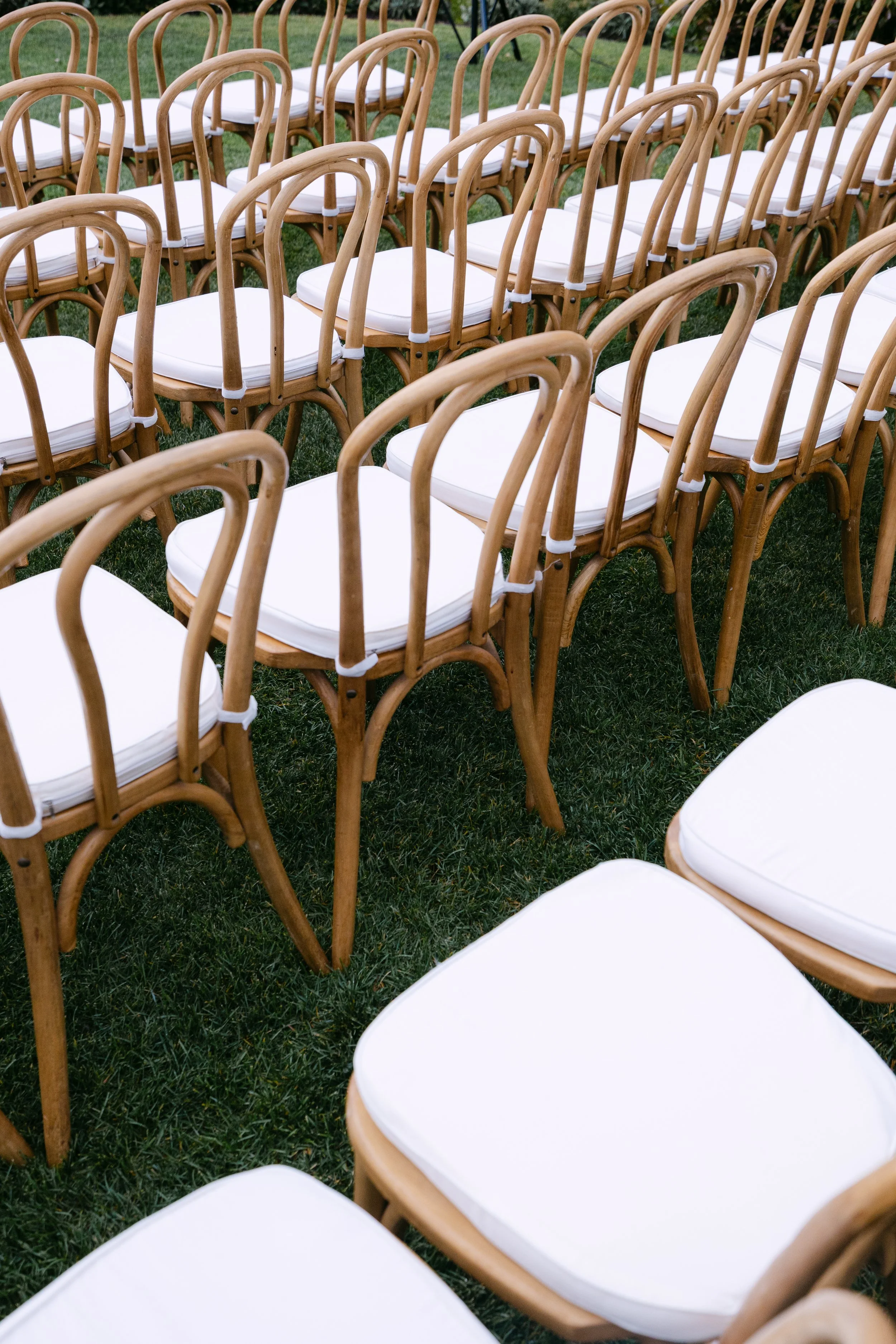 Multiple rows of wooden chairs with white cushions arranged outdoors on a grassy area