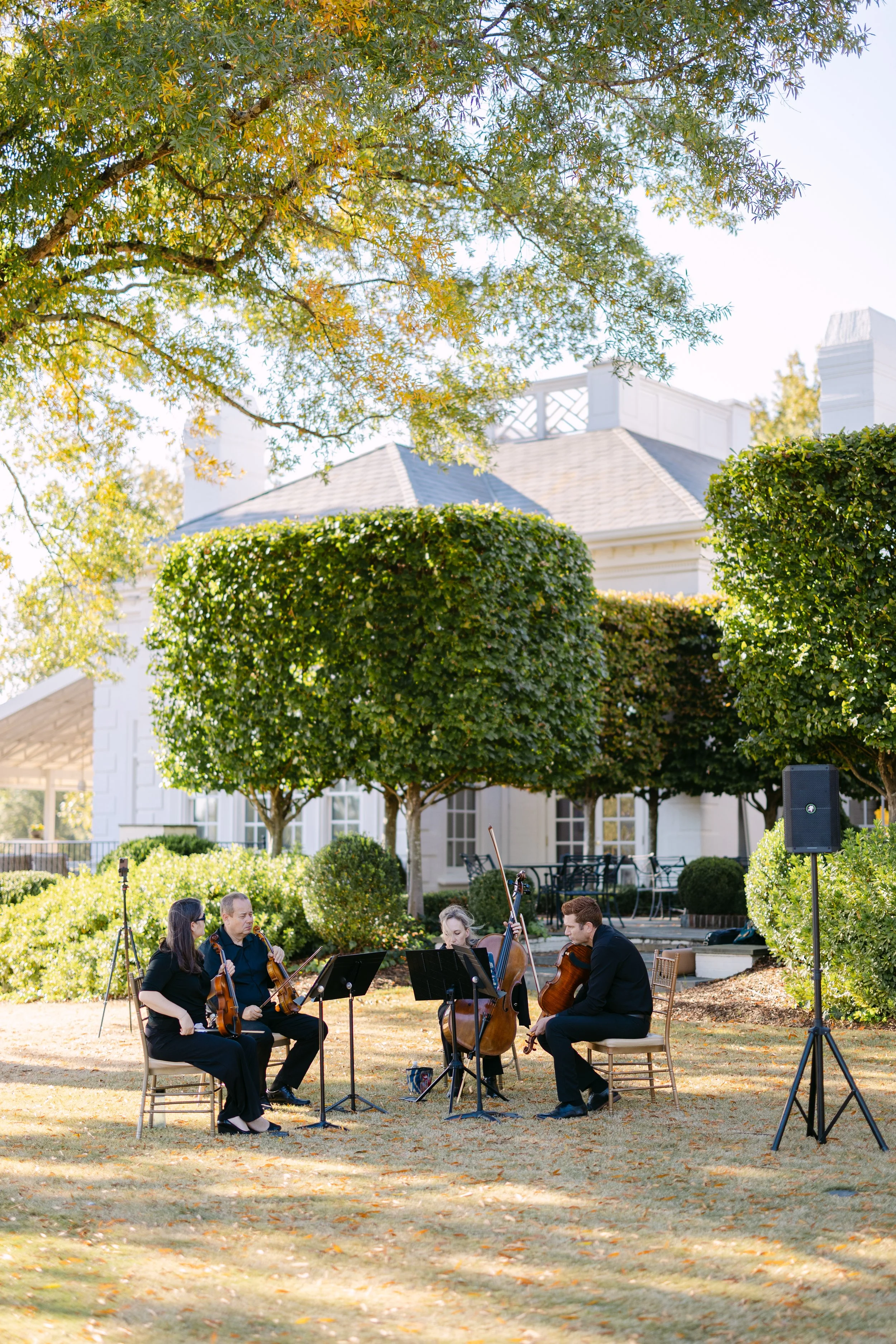String of four musicians playing string instruments outdoors on a sunny day, seated on chairs in a garden with grass, trees, bushes, and a white house in the background.