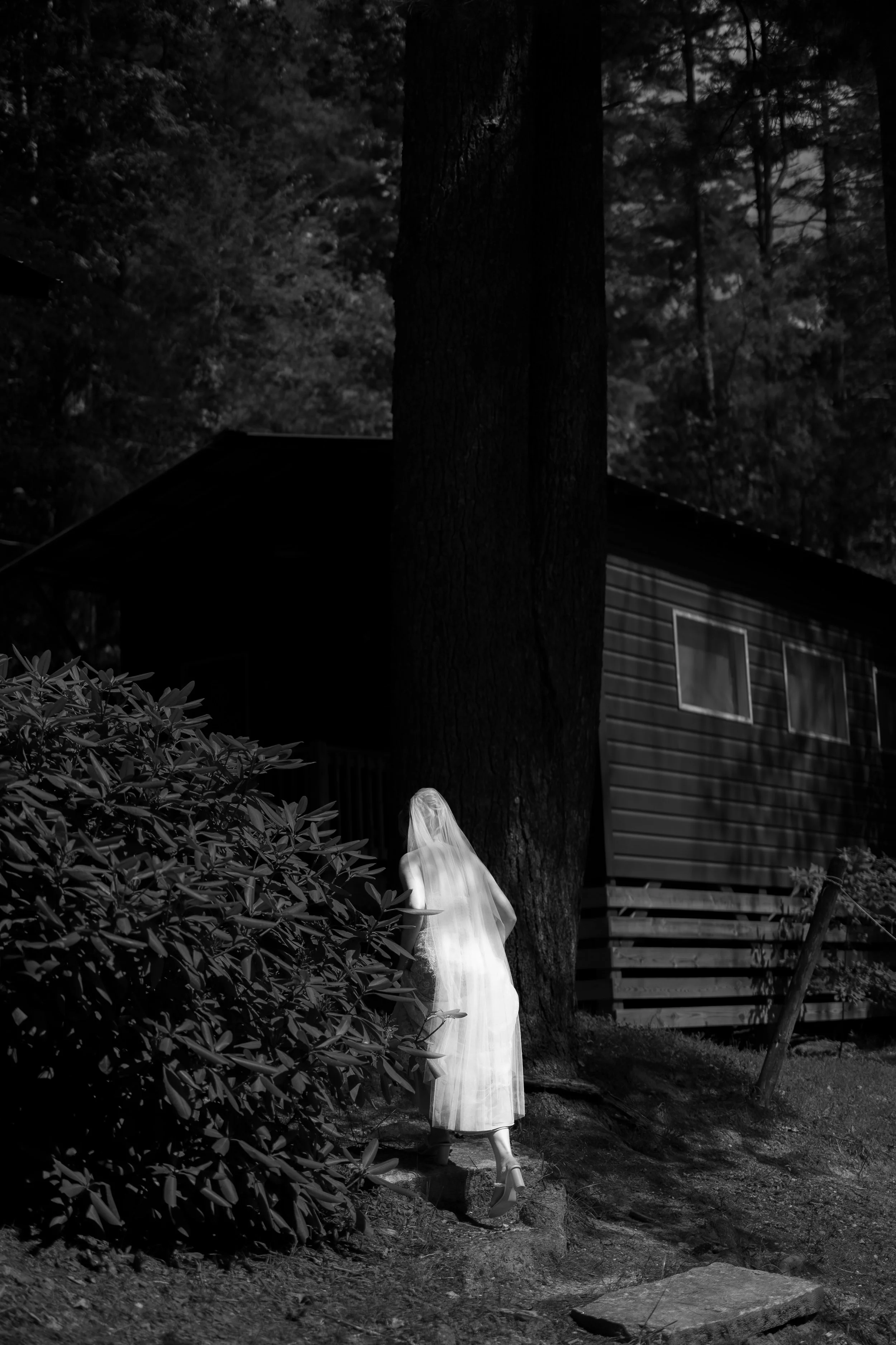A ghostly figure of a woman in a long white dress and veil stands near a large tree at night, with a house and trees in the background.