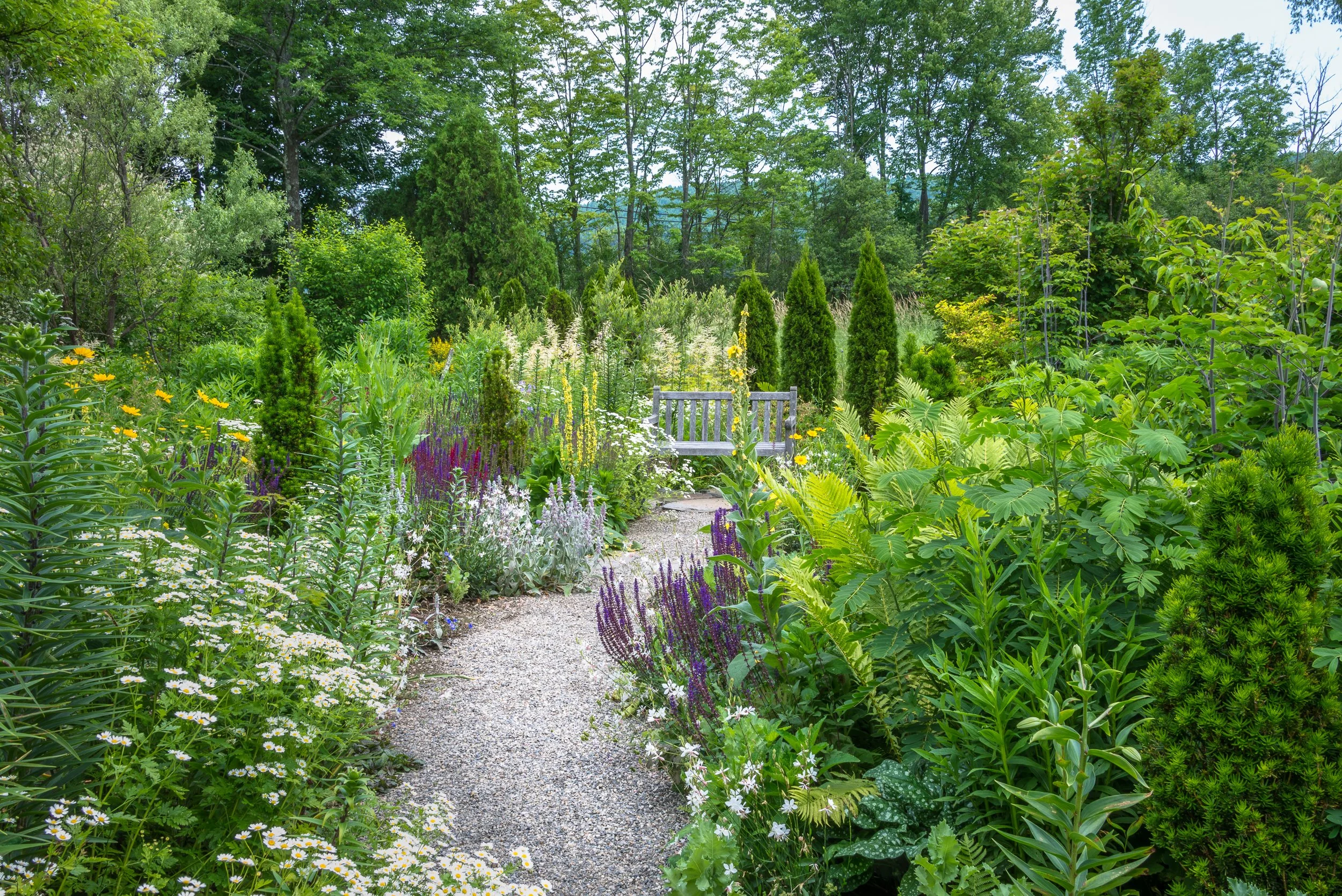 Garden Openings — Hayward Gardens