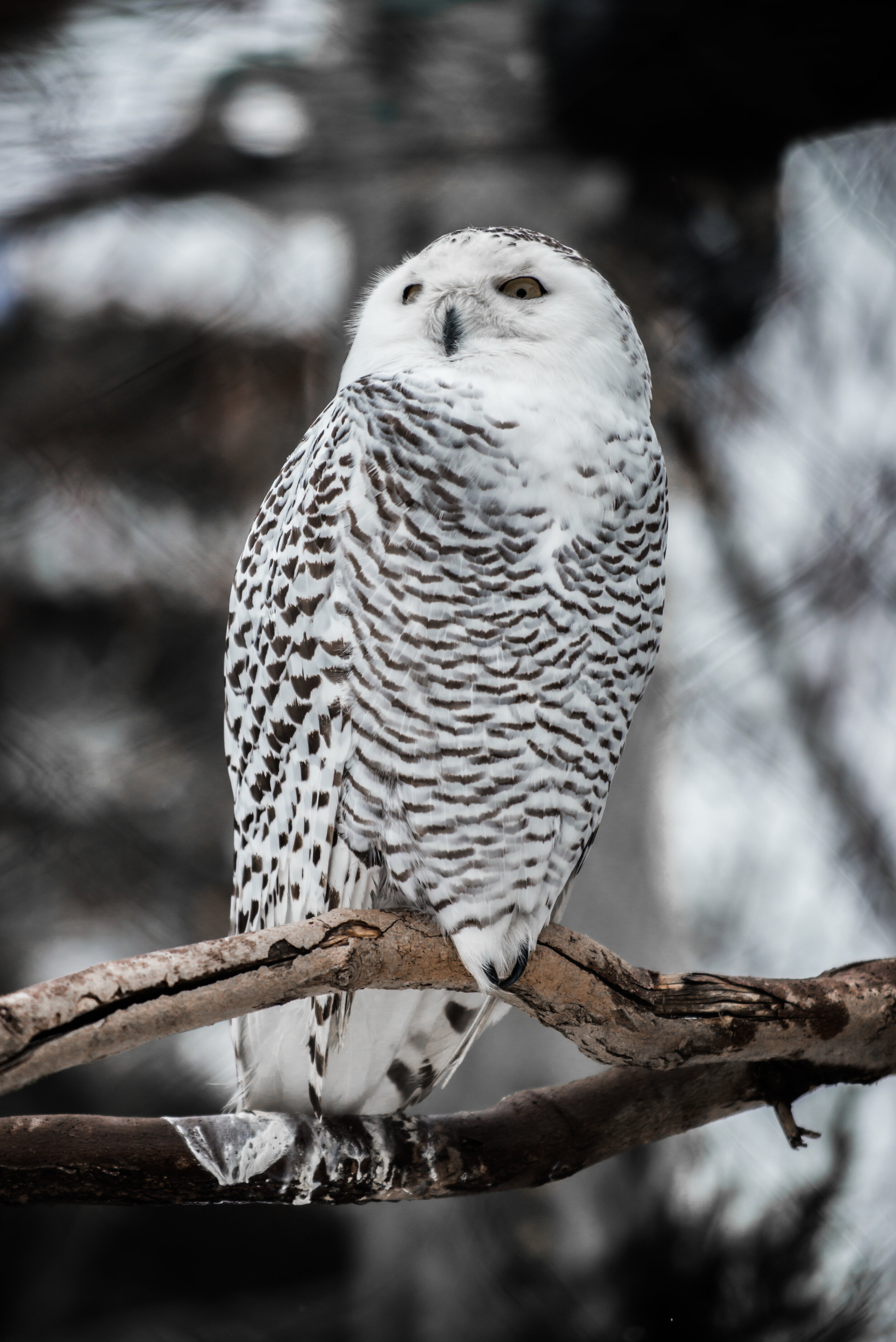 DSC_1702.jpg