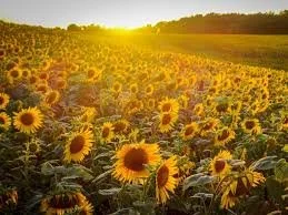 RTT and the Power of Lasting Change