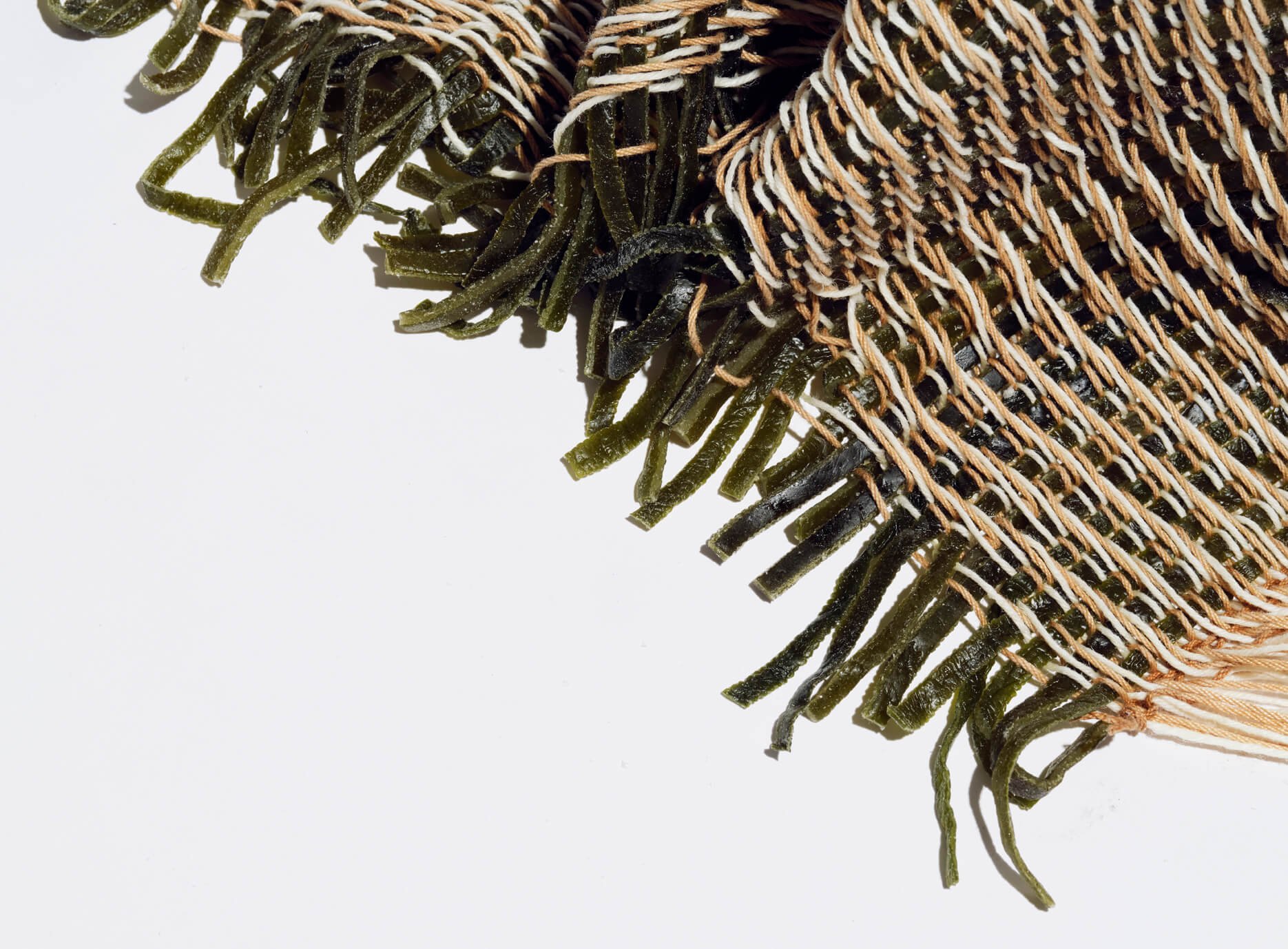 Between Salt & Water, Living Structure I, Anubha Sood; Courtesy Carpenters Workshop Gallery