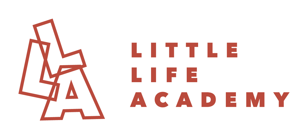 Little Life Academy