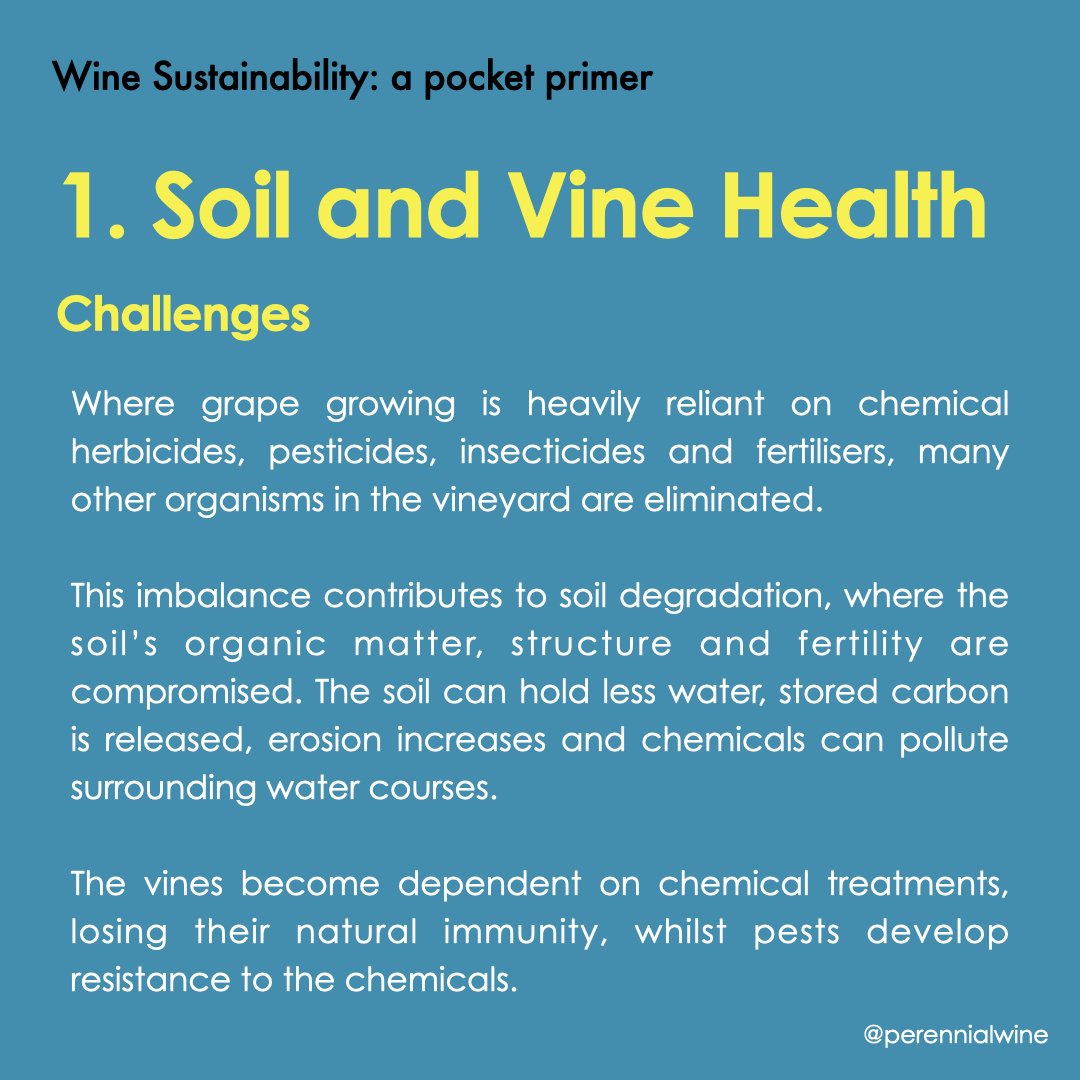 Wine Sustainability: a pocket primer. Five issues in the world of wine and some of the ways that people are addressing them.

This is an overview of the main challenges in making wine &lsquo;sustainable&rsquo;, in producing wine without significant h