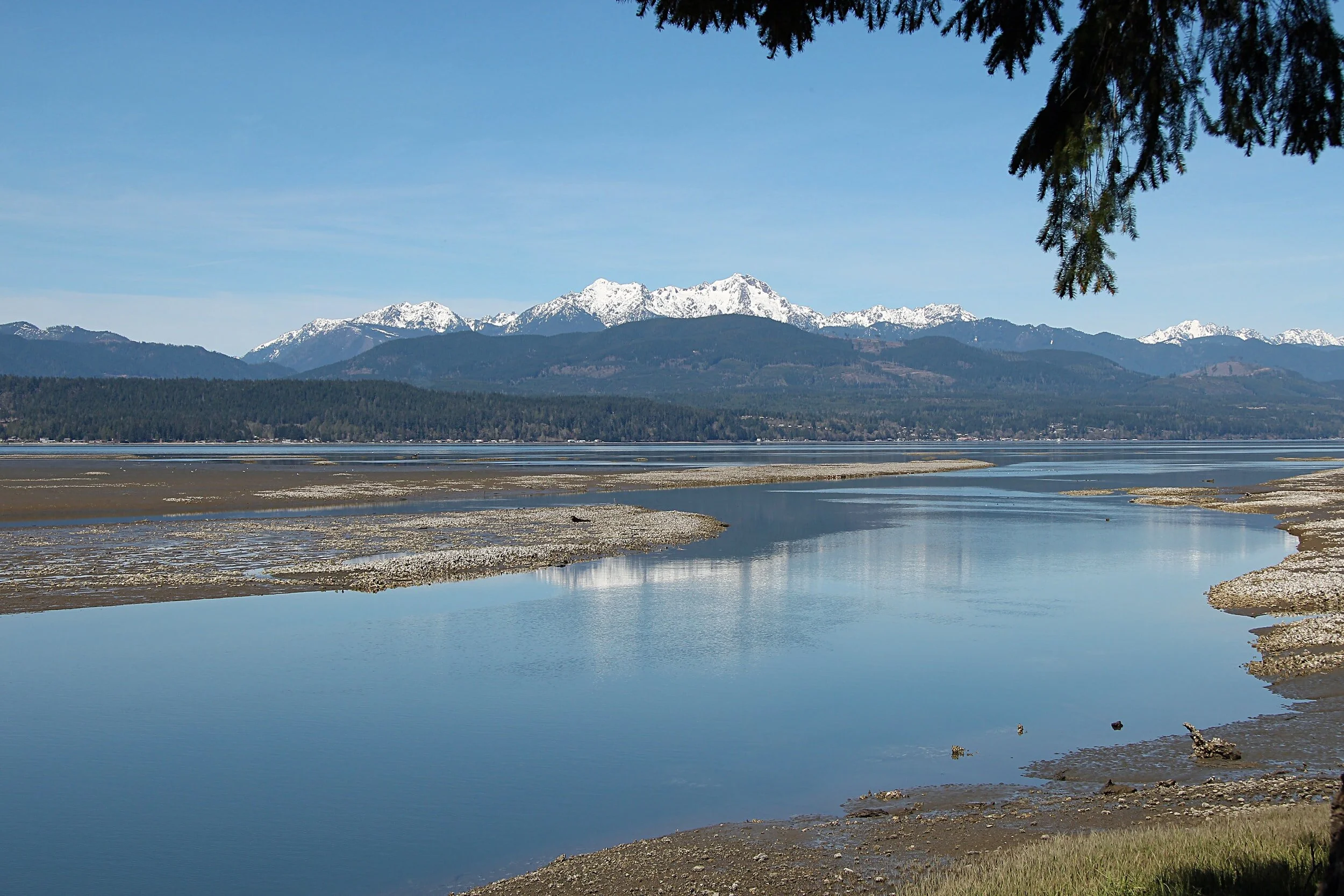 Remembering Life Before