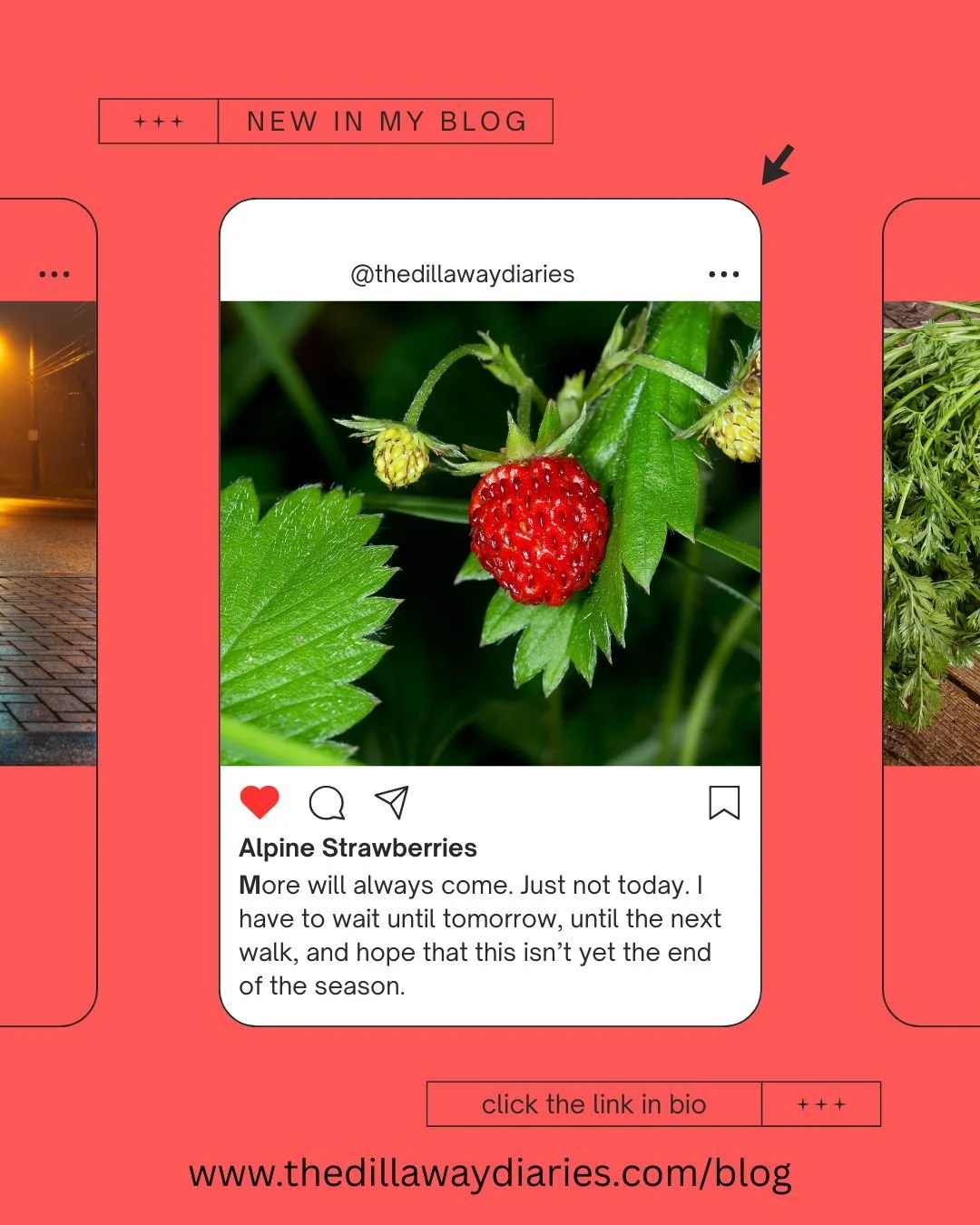 New blog just dropped!