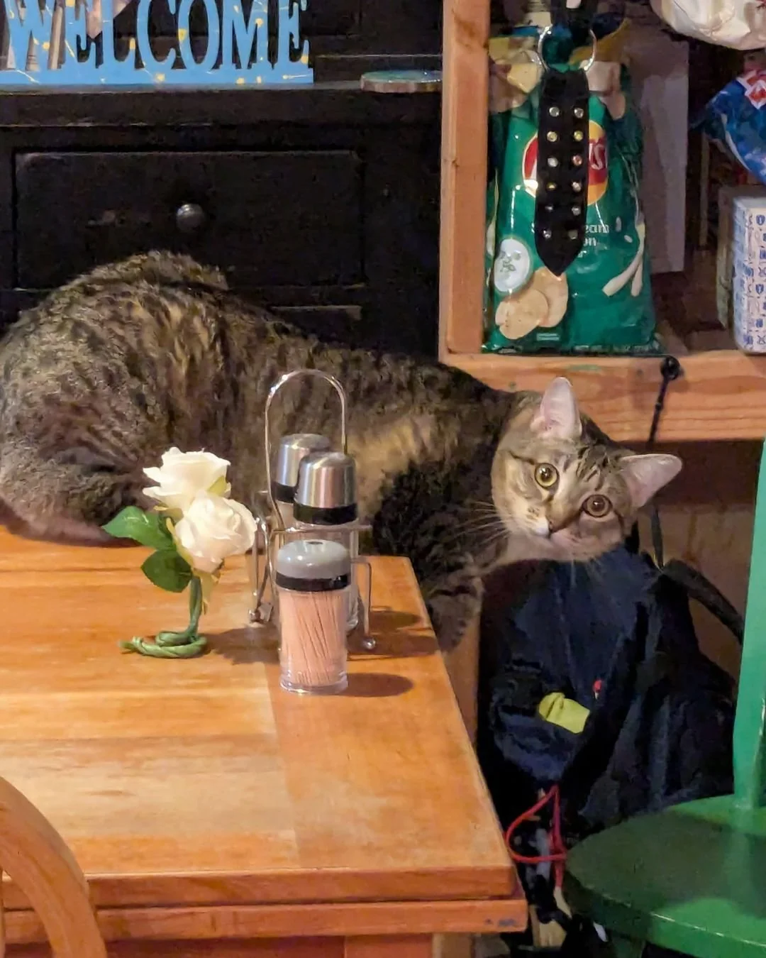 Someone got caught red handed...or red pawed, I suppose.