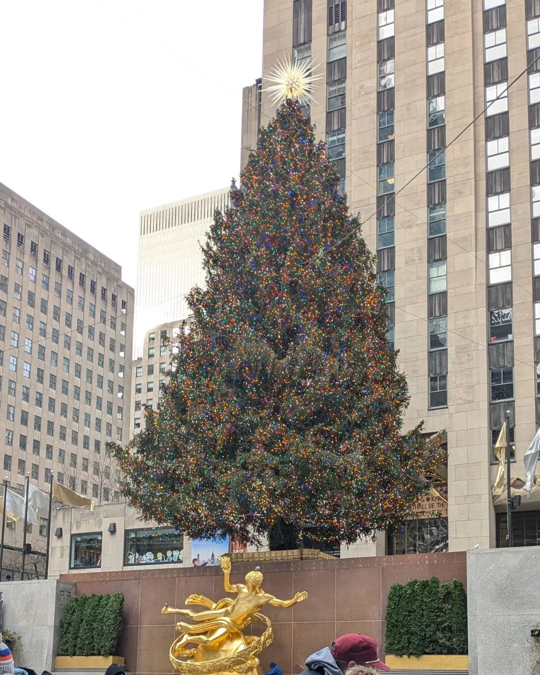 Just got home from an amazing (and freezing!) week in New York City. Now onward to make the holiday magic happen...I hope!