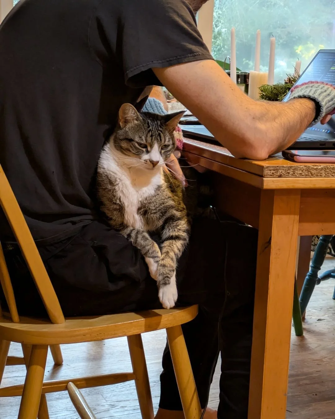 Peaches is the most stubborn snuggler in the world. We (mostly) love her for it.