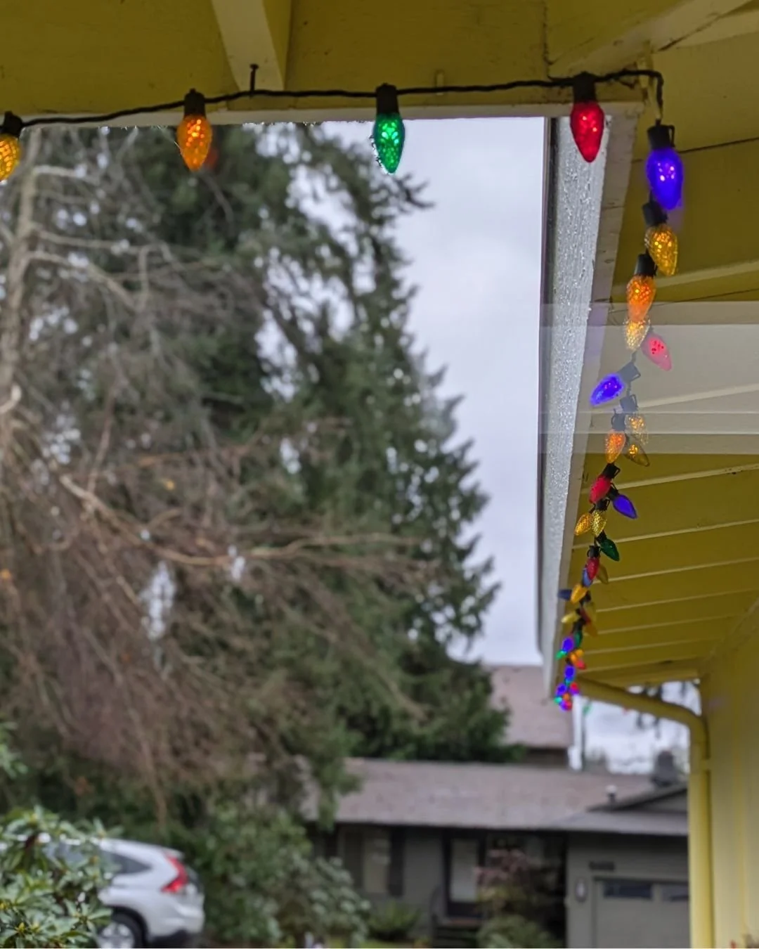 Christmas is over...but these lights are staying up for a little while longer, if only give some cheer to an otherwise gloomy winter's day.