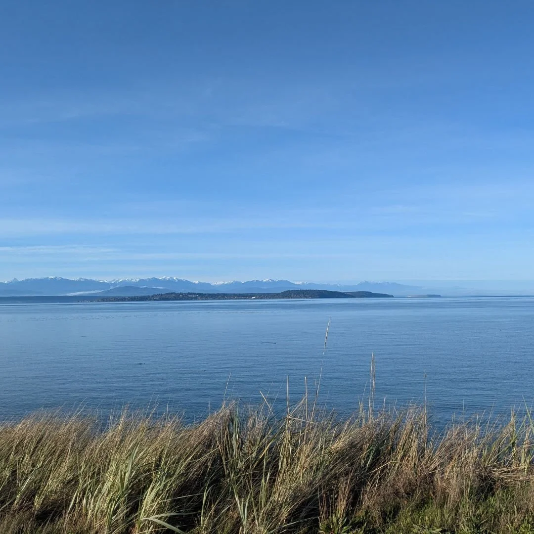 Wishing you a new year full of new adventures!

P.S. The January edition of my newsletter comes out on the 15th! Sign up link is in my bio.