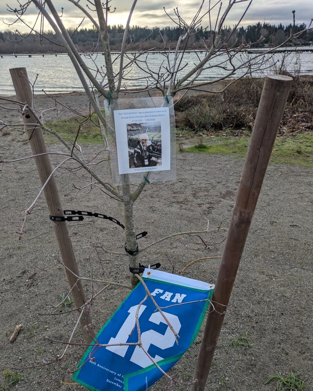 Came upon this memorial tree on my morning walk and I couldn't help but smile. What a beautiful gift.