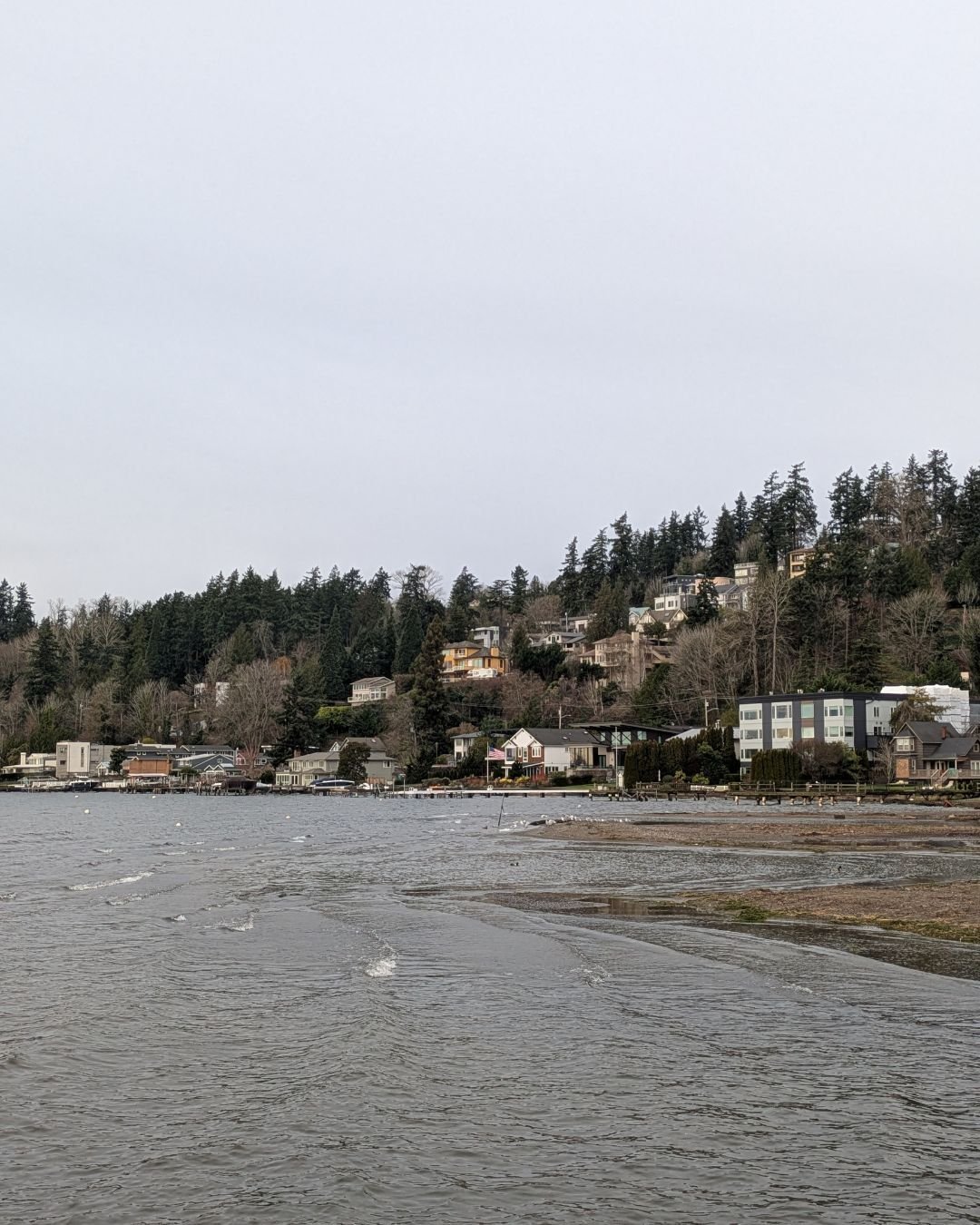 It's all greys and greens and browns around here, but there's beauty in it all the same.