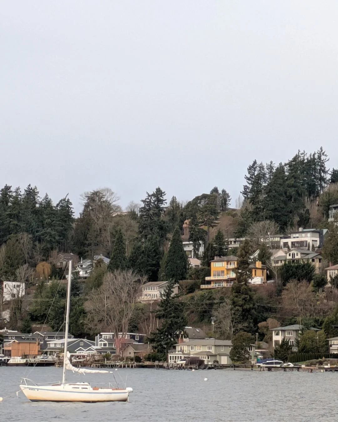 It's unusual to see sailboats out this time of year. Too wet, too cold, too cloudy. So it was a nice surprise to come across one this morning!