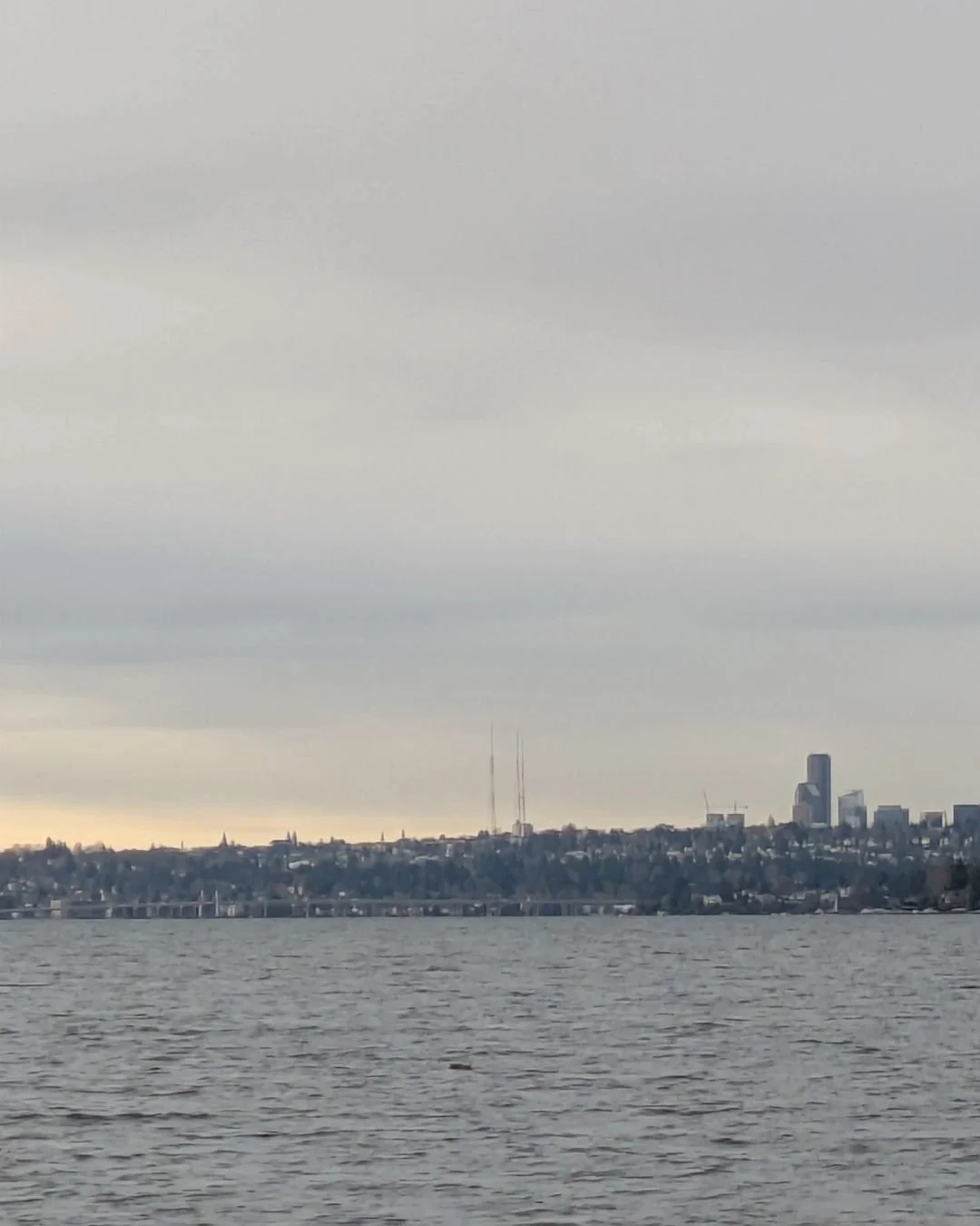 One month into the new year and I'm mostly sticking to the plan to take my writing breaks down by the lake. Views like this don't hurt!