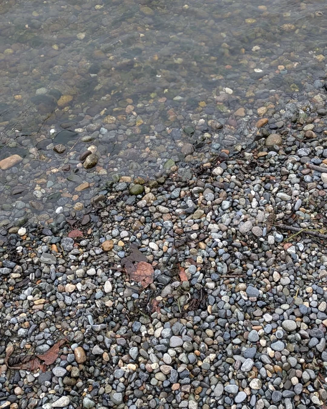 What is it about water that always brings us back to Earth? I took this photo during a moment where I just could not sit and hear about another terrible thing happening. And the water didn't make it me forget...it helped me to access the calm I neede