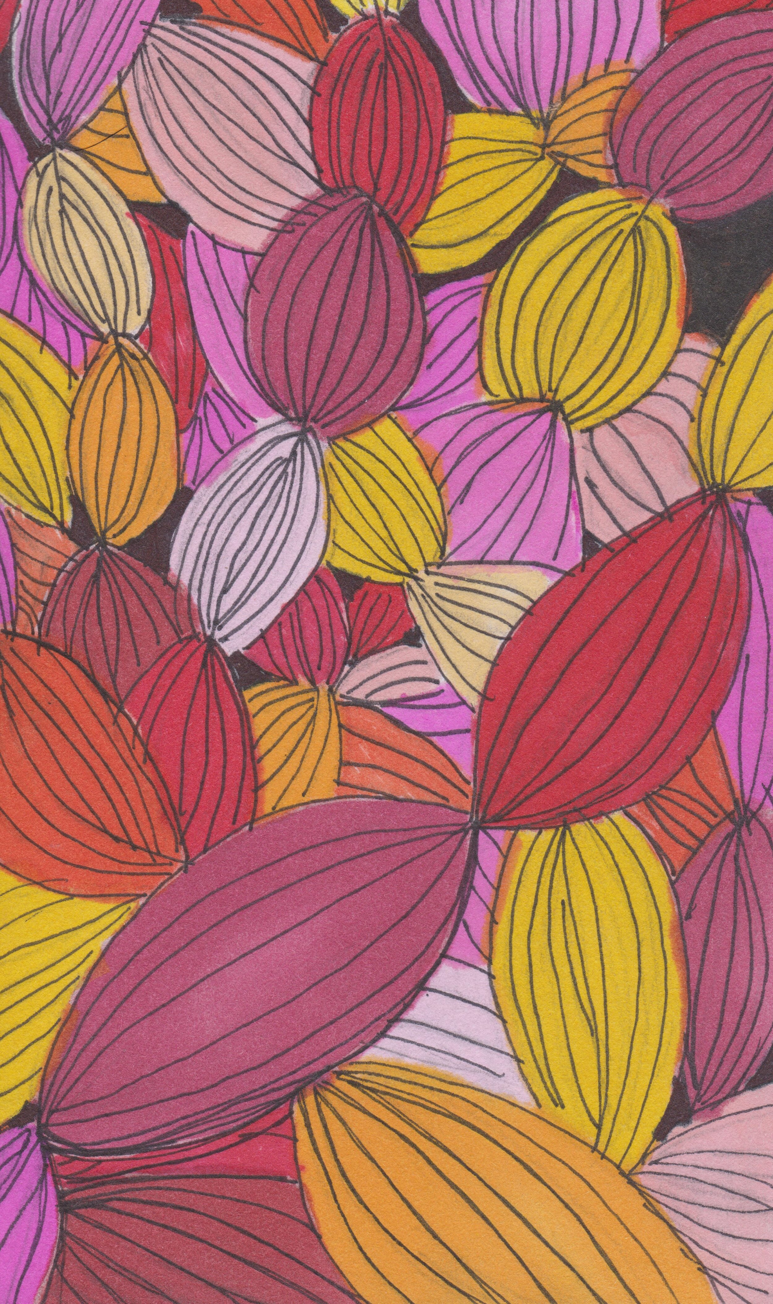 Remote Learning Week 2!