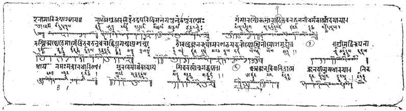 February Book Club: The Amṛtasiddhi