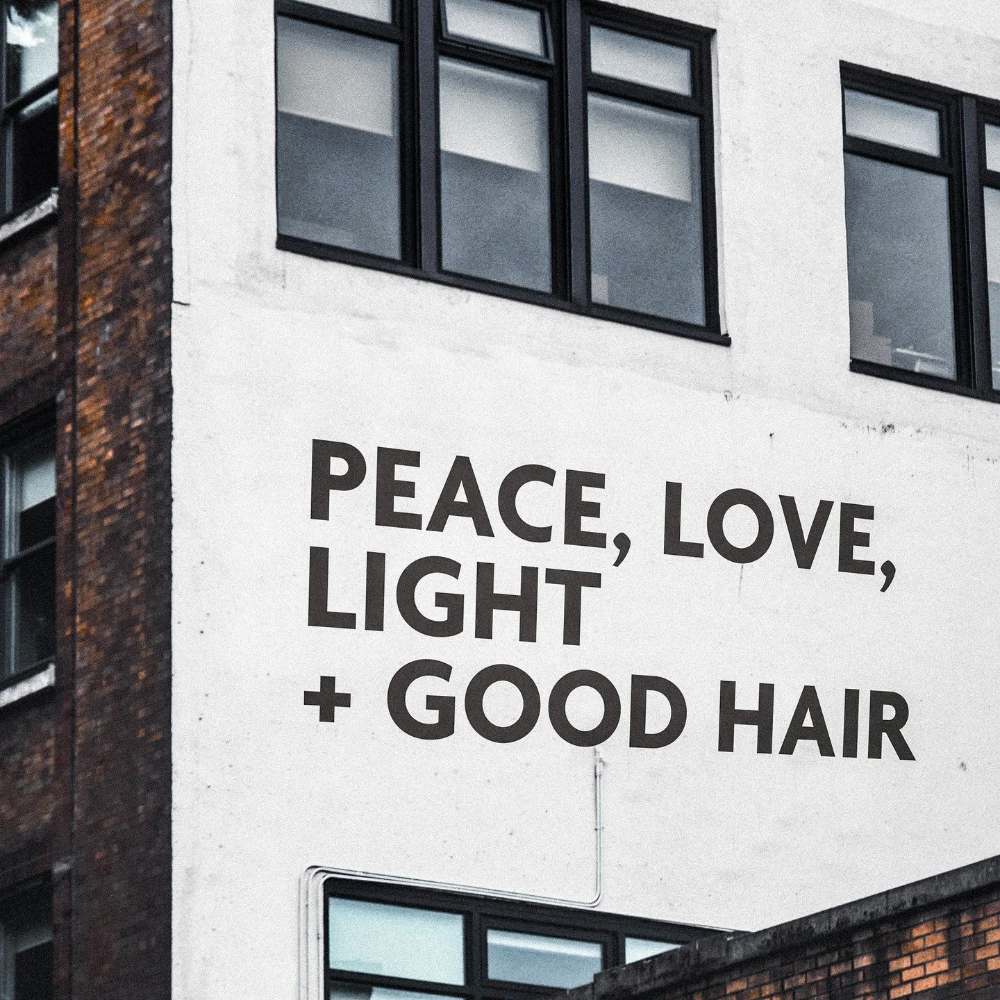 All we really need in 2026 is peace, love, light, and good hair💫

🛍️Shop R+Co products through the link in our bio
📍Live By The Sword Salon | Williamsburg, Brooklyn
Book your hair appointment now at www.livebytheswordsalon.com
.
.
.
#randco #nycha