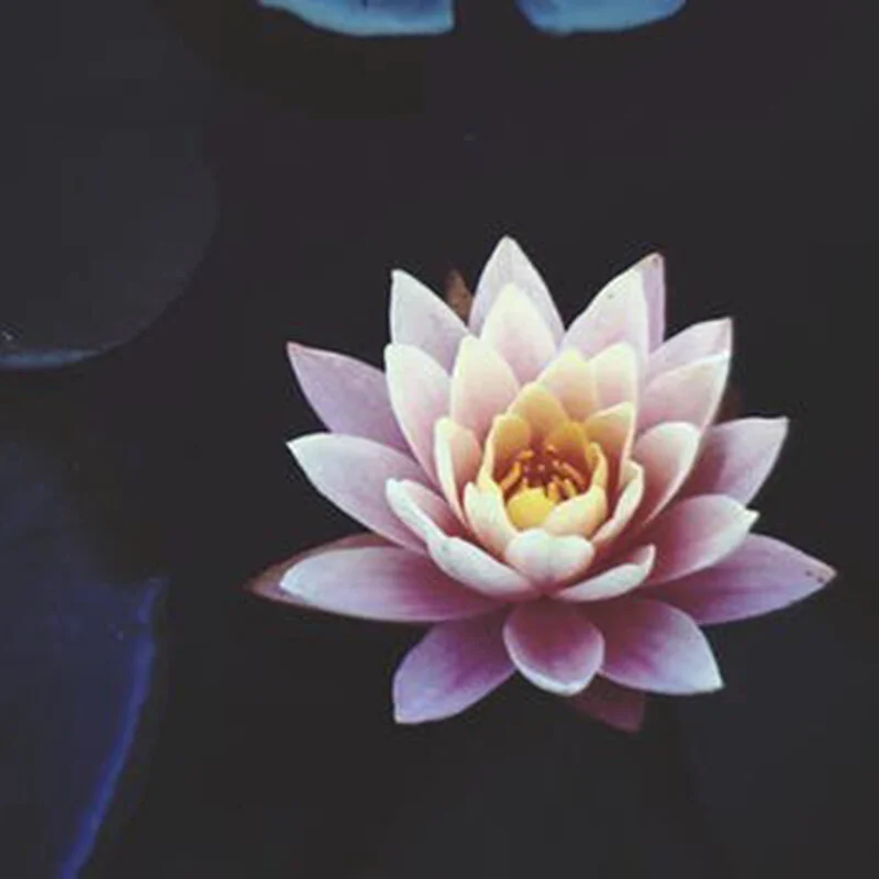 Connection with Spirit