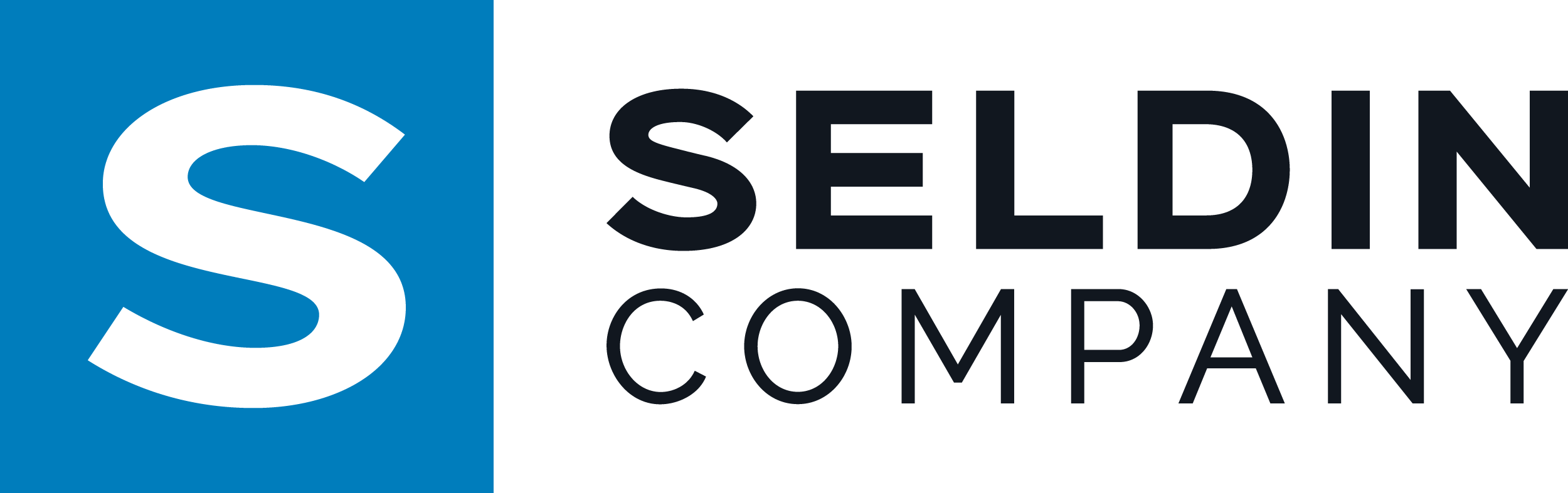 SeldinLOGO - PRIMARY.png