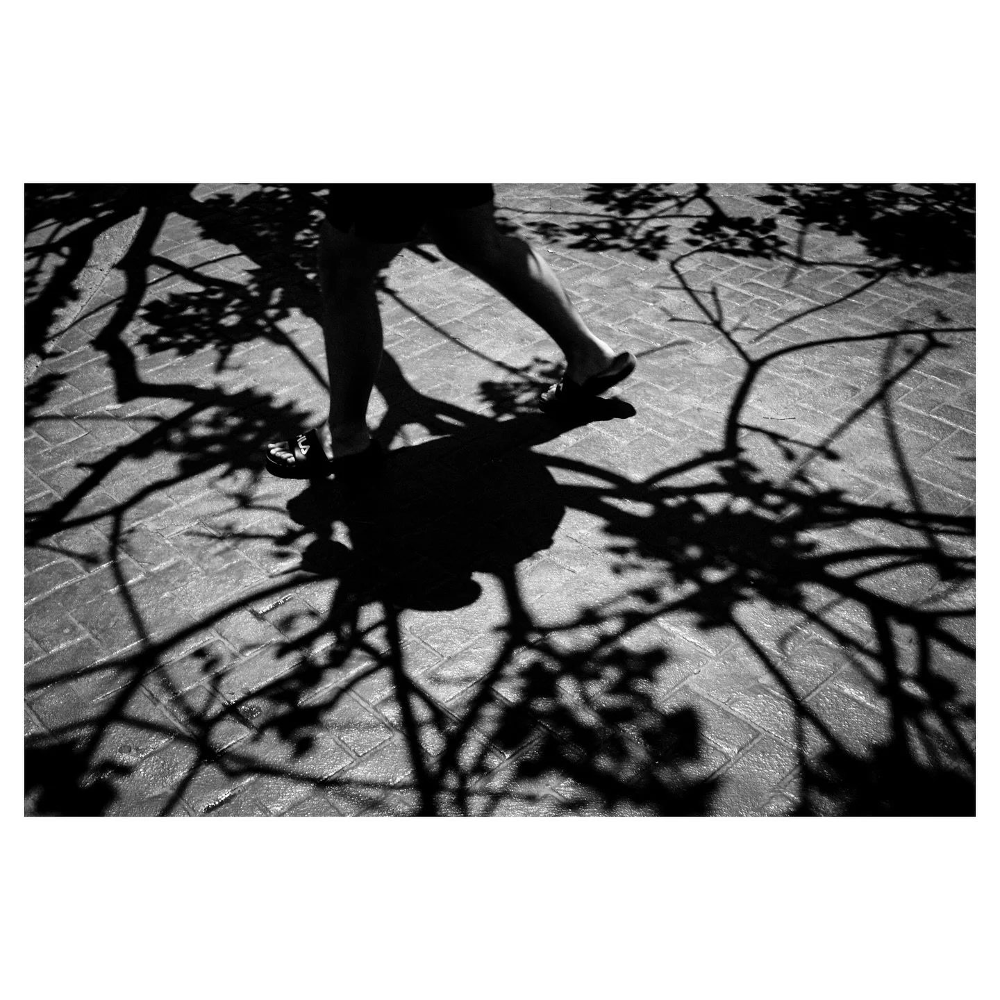 Shape

Fujifilm xt30 + thypoch simera 28mm f/1.4

#photostreetmexico #streetscenesmag #madewithlightroom  #streetphotography #streethunters #street_macadam #street_me_up #fujifilmxt30 #spicollective #sdmfeatures #teamstreetmexico #str33timag3 #street