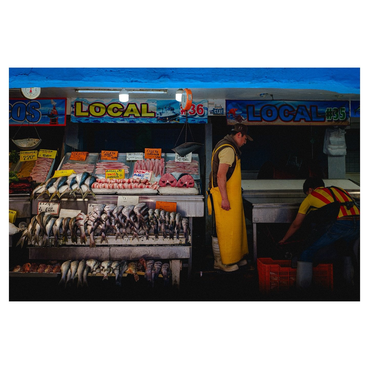 Mercado negro

Fujifilm xt30ll + Thypoch Simera 28mm f/1.4

#photostreetmexico #streetscenesmag #madewithlightroom  #streetphotography #streethunters #street_macadam #street_me_up #fujifilmxt30 #spicollective #sdmfeatures #teamstreetmexico #str33tima