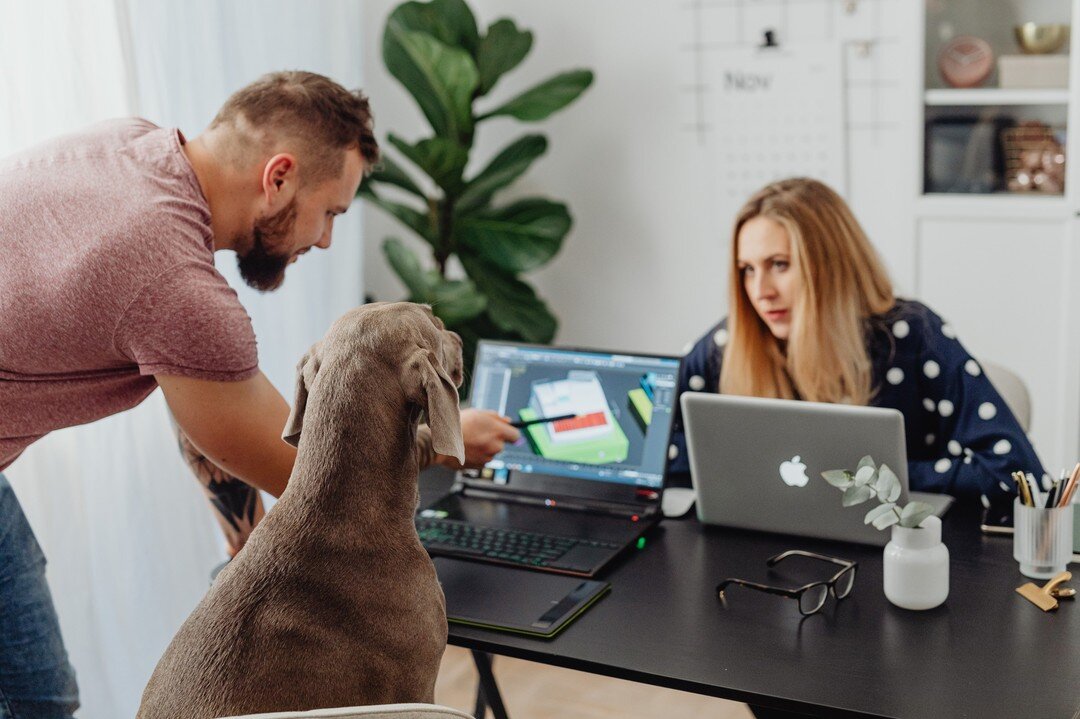 Want to spend more time with your furry friend, especially on national dog day? Come to pet-friendly Falmouth Share Space. You can rent a desk for the day, and bring your dog. 

197 Palmer Ave, Falmouth, MA
(508) 388-7866

#dog #pet #coworking #falmo