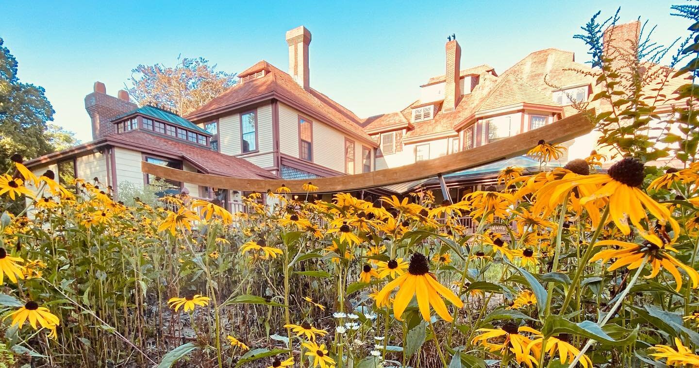 Thank you @falmouth_chamber and @highfieldhallfalmouth for hosting a spectacular Business After Hours event. 

The history that runs deep at Highfield Hall is incredible! The mystery and history among the Beebe family would make a great series&hellip