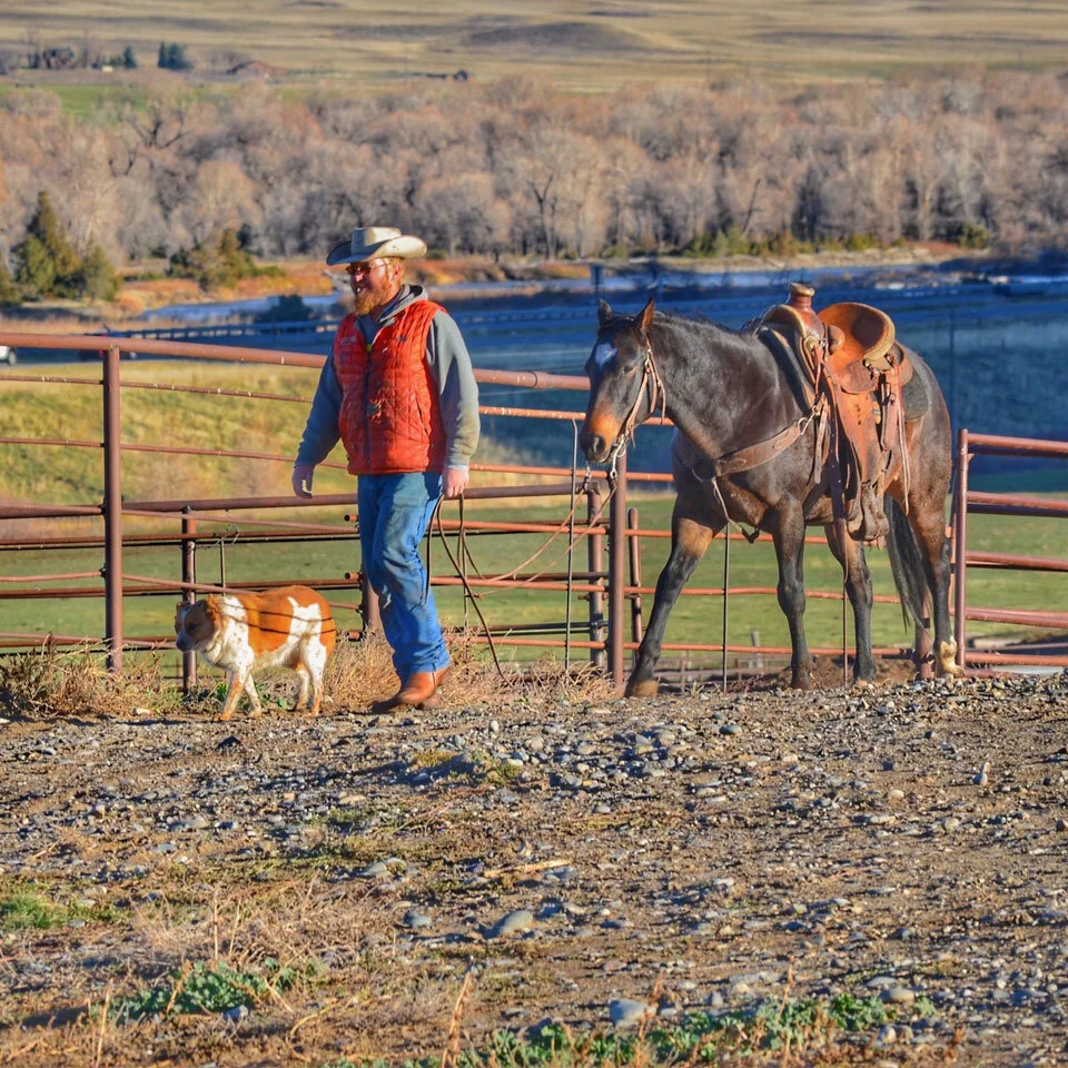 Felton Angus Ranch