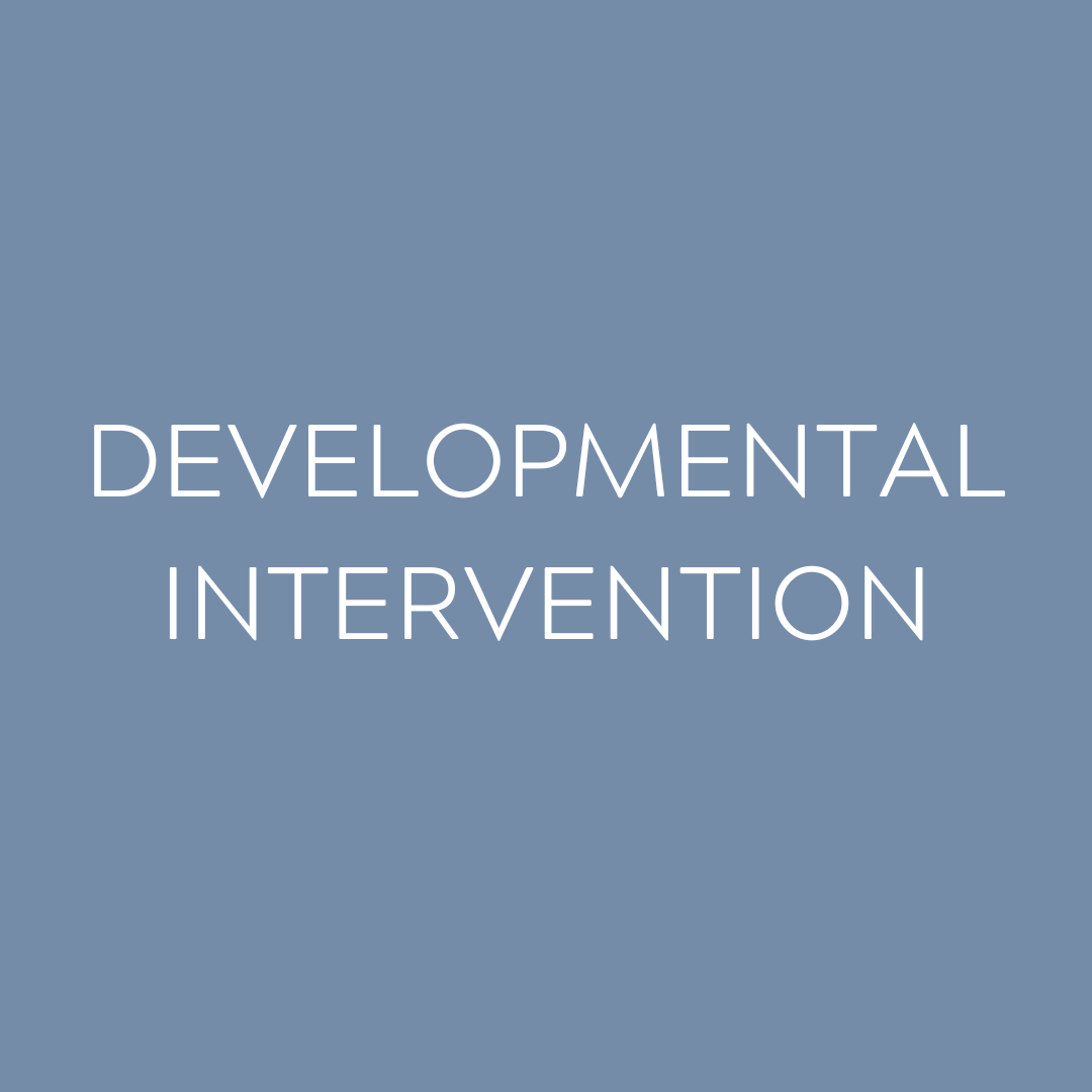 Developmental Intervention Services