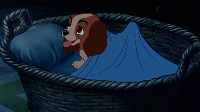 Disney's Lady and the Tramp 1955 animated Lady as a puppy