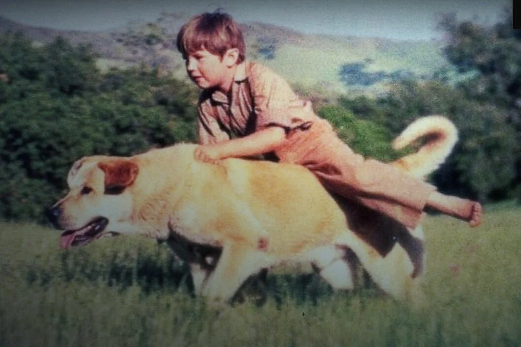 Review: Old Yeller (DMC #26)