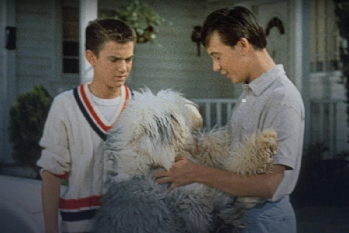 Review: The Shaggy Dog (1959) (DMC #28)
