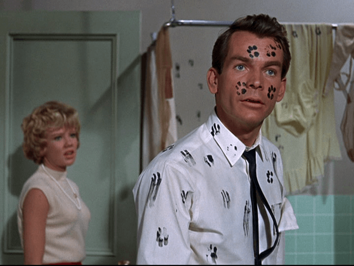 That Darn Cat! - Movie Forums